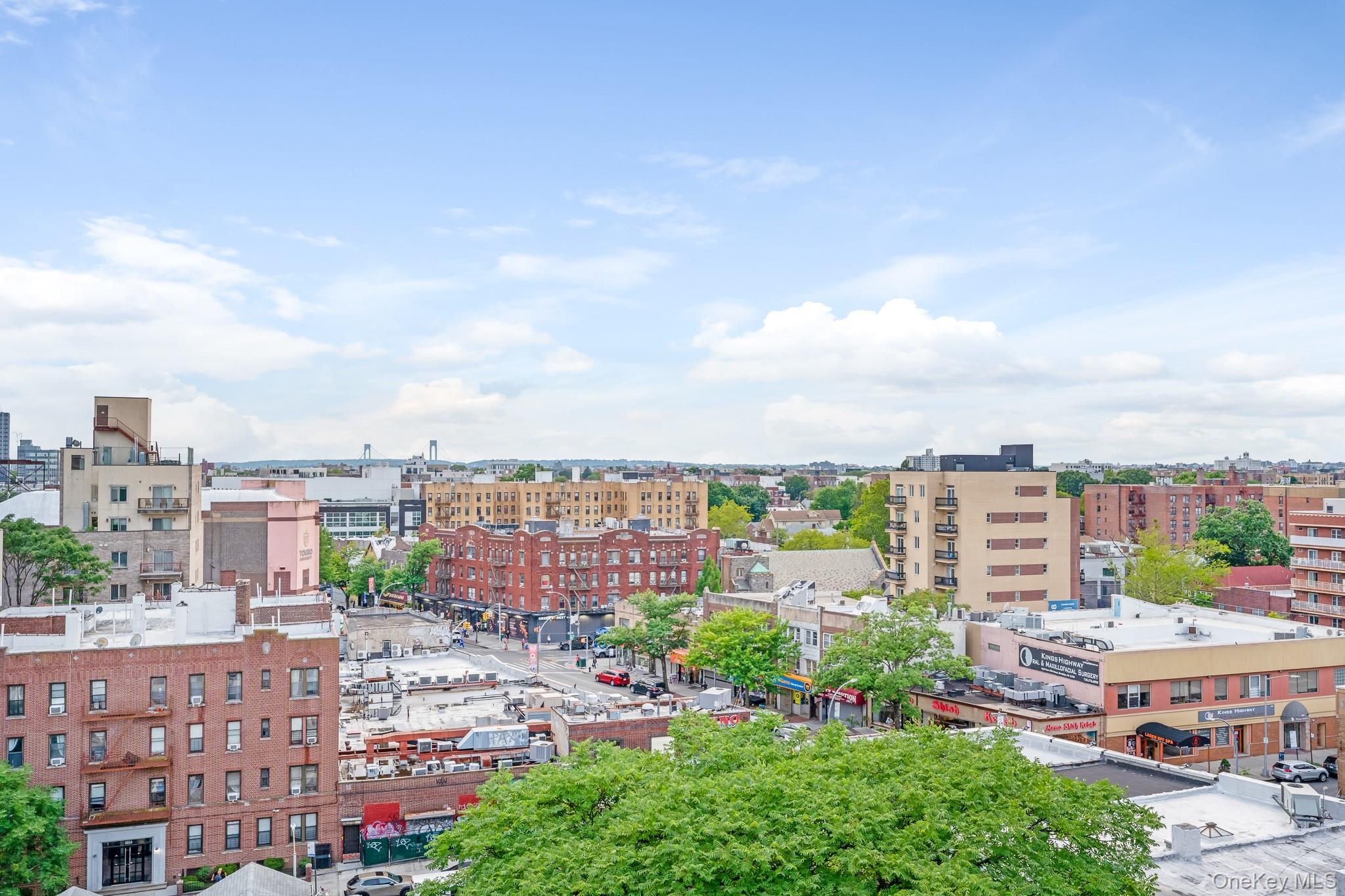 Condo Ocean Avenue  Brooklyn, NY 11229, MLS-1034711-13
