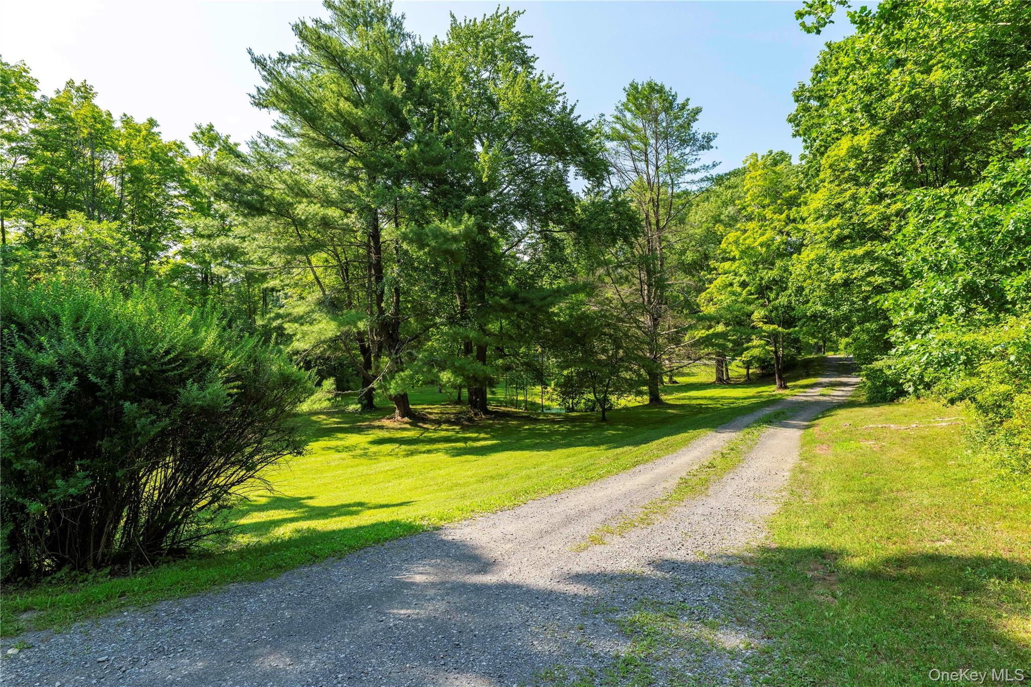 Single Family W Pine Road Dutchess County, NY 12580, MLS-1034739-3