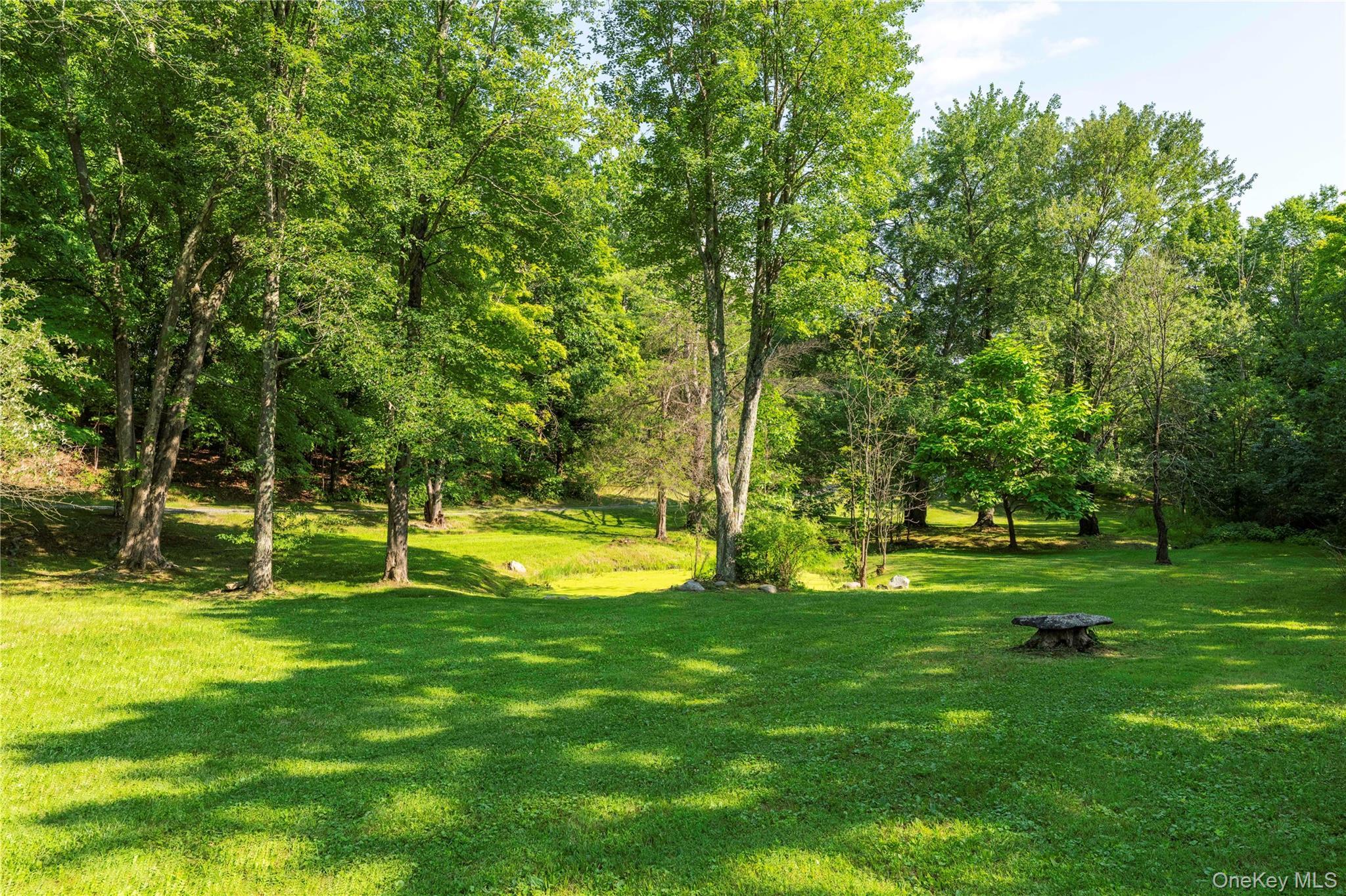 Single Family W Pine Road Dutchess County, NY 12580, MLS-1034739-40