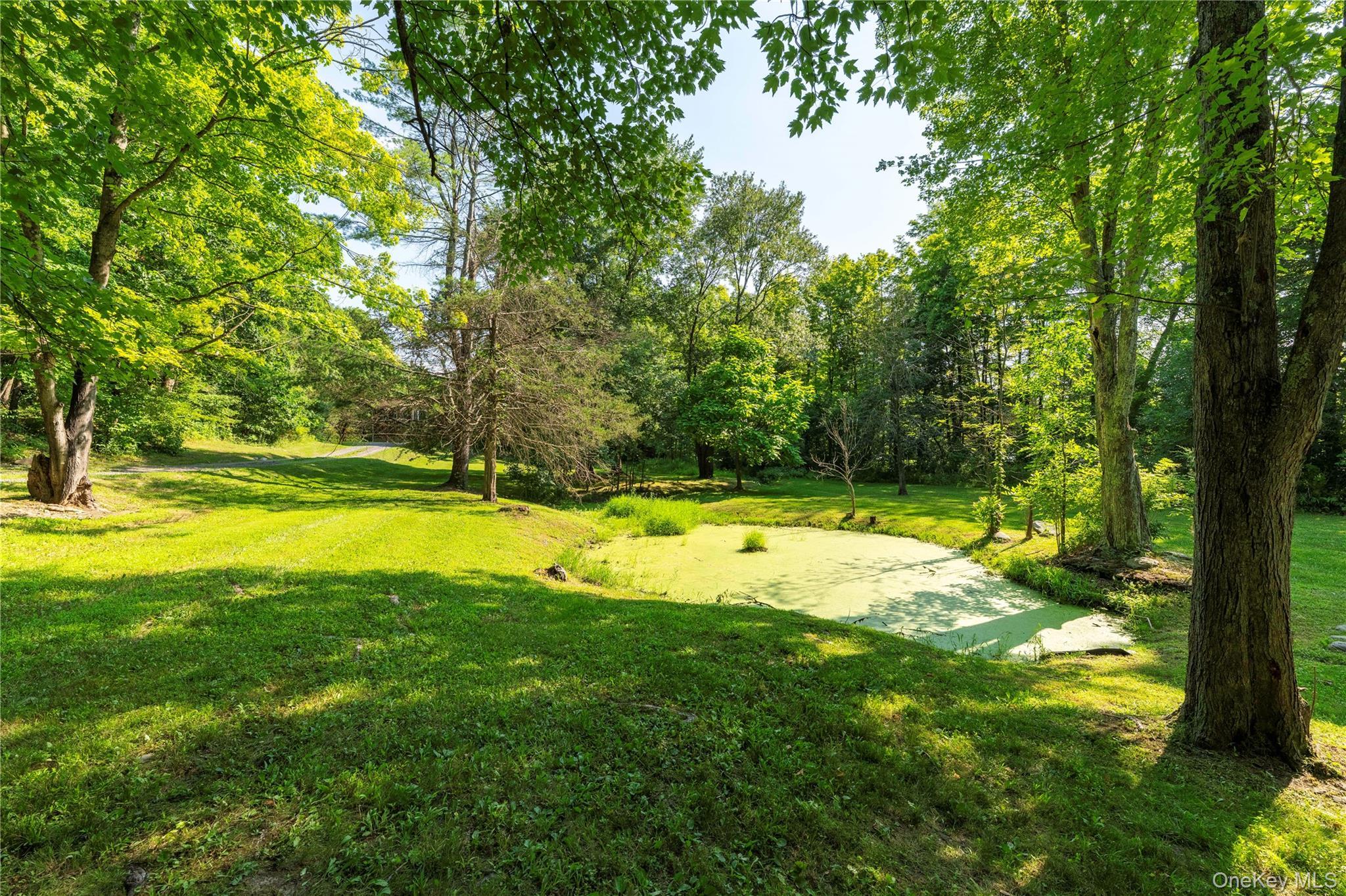 Single Family W Pine Road Dutchess County, NY 12580, MLS-1034739-42