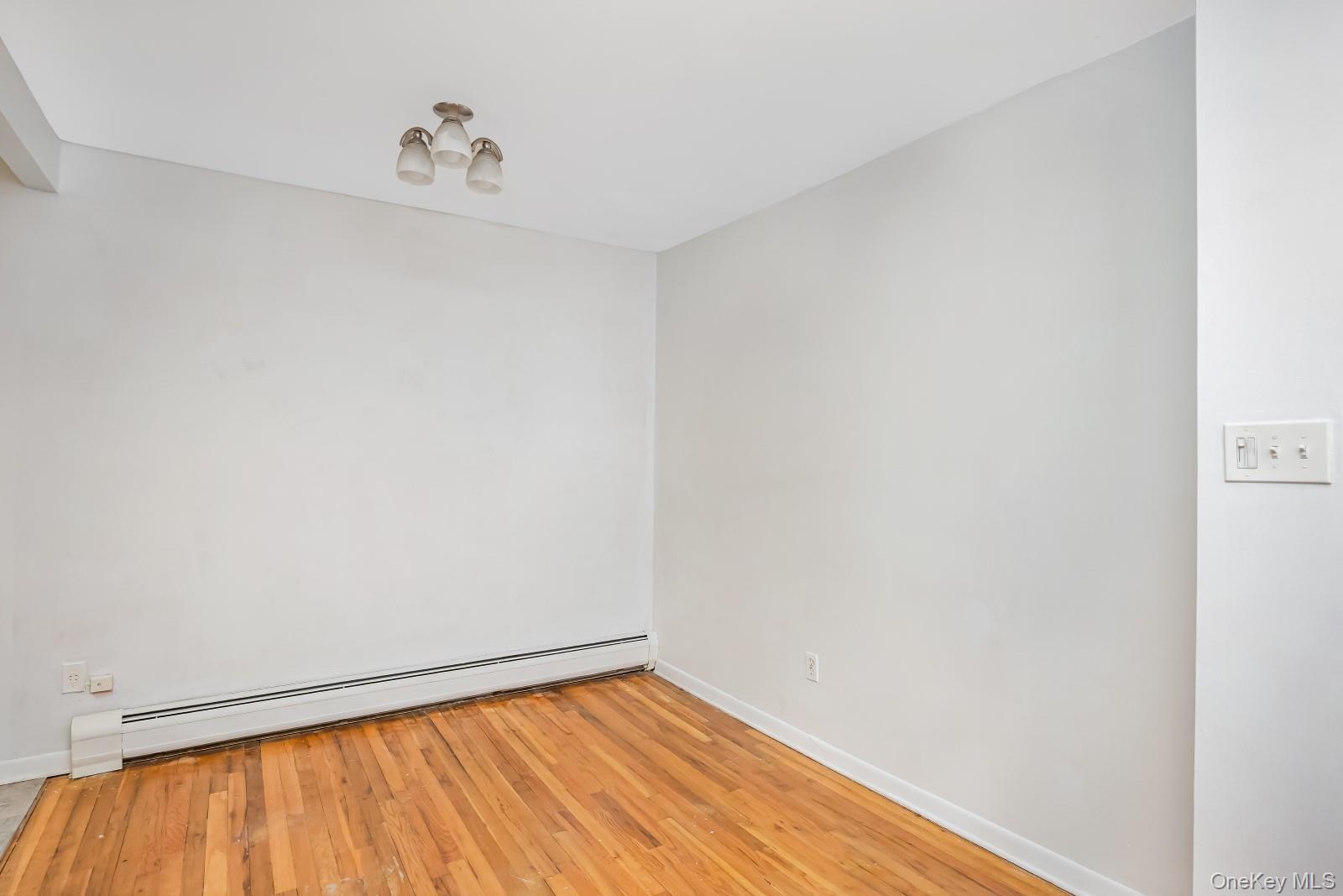 Single Family 75th Street Queens, NY 11379, MLS-1034758-29