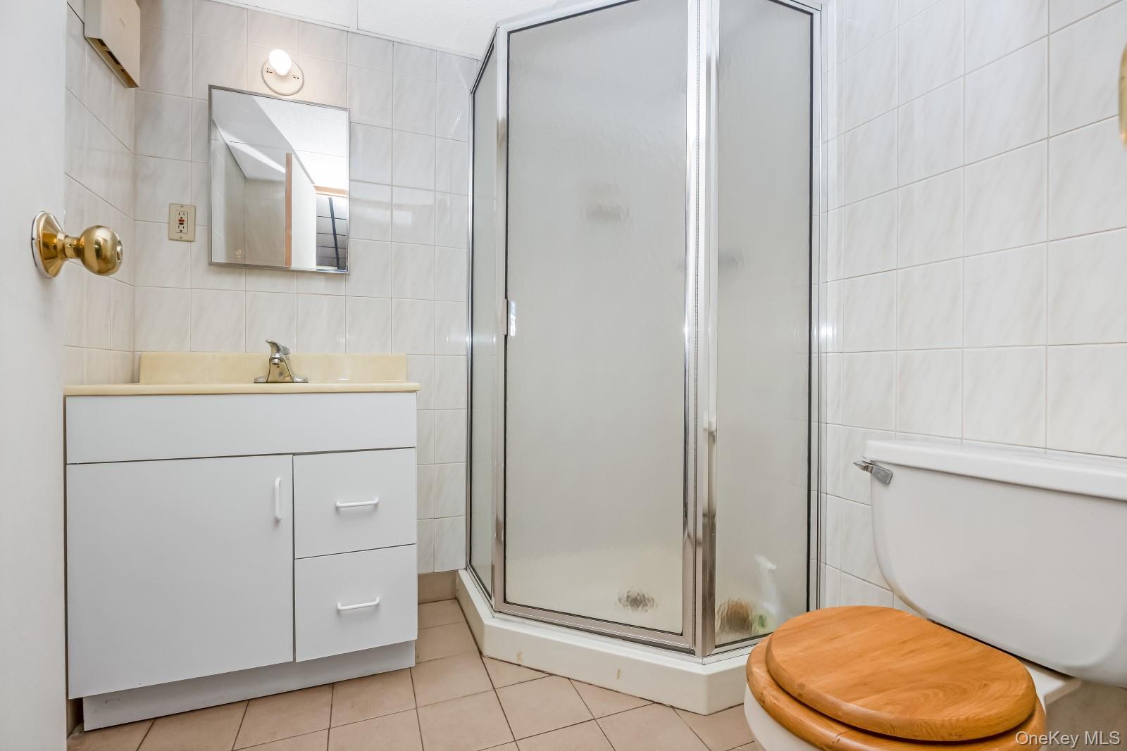 Single Family 75th Street Queens, NY 11379, MLS-1034758-47