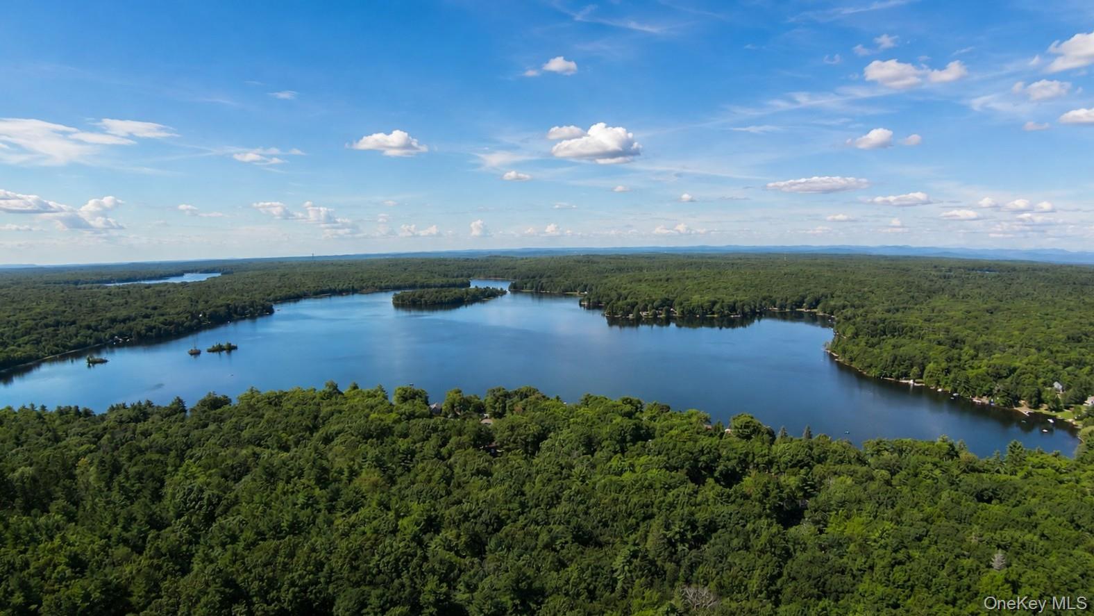 Single Family Yankee Lake Road Sullivan County, NY 12790, MLS-1034767-42
