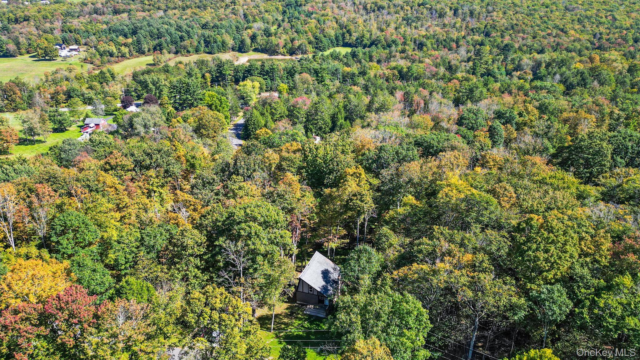 Single Family Rennison Road Sullivan County, NY 12740, MLS-1034768-2