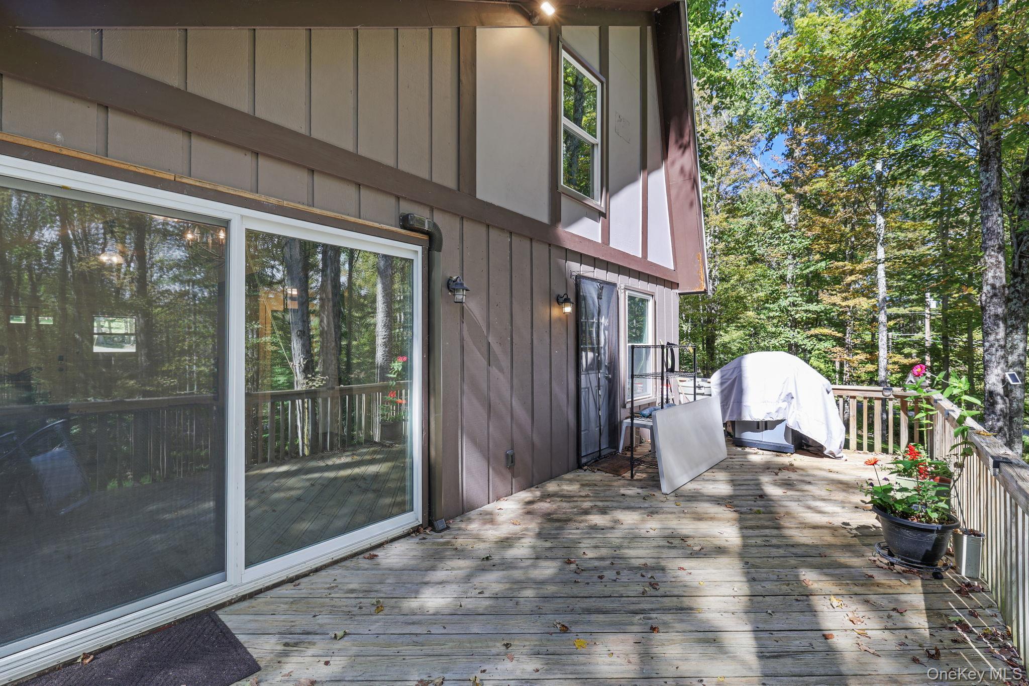 Single Family Rennison Road Sullivan County, NY 12740, MLS-1034768-27