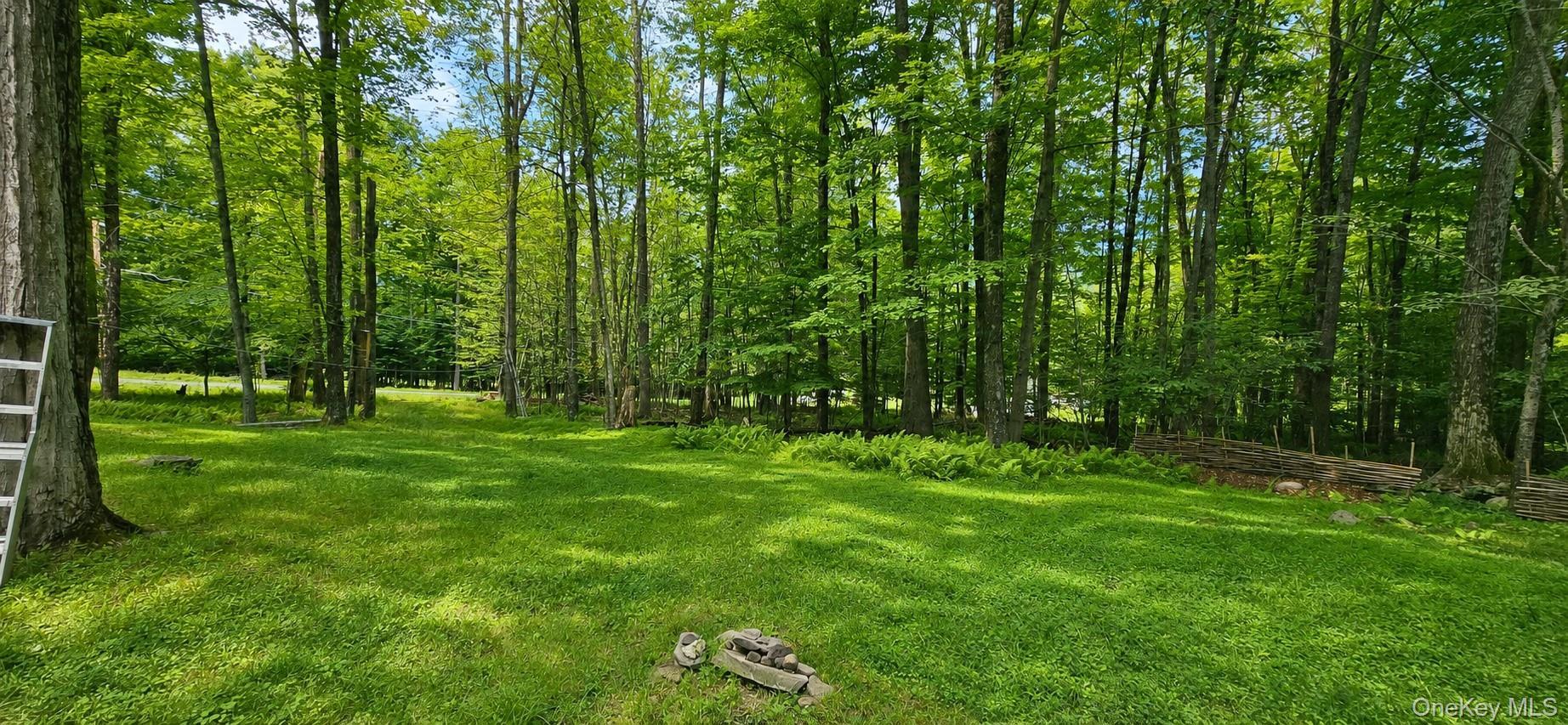 Single Family Rennison Road Sullivan County, NY 12740, MLS-1034768-30
