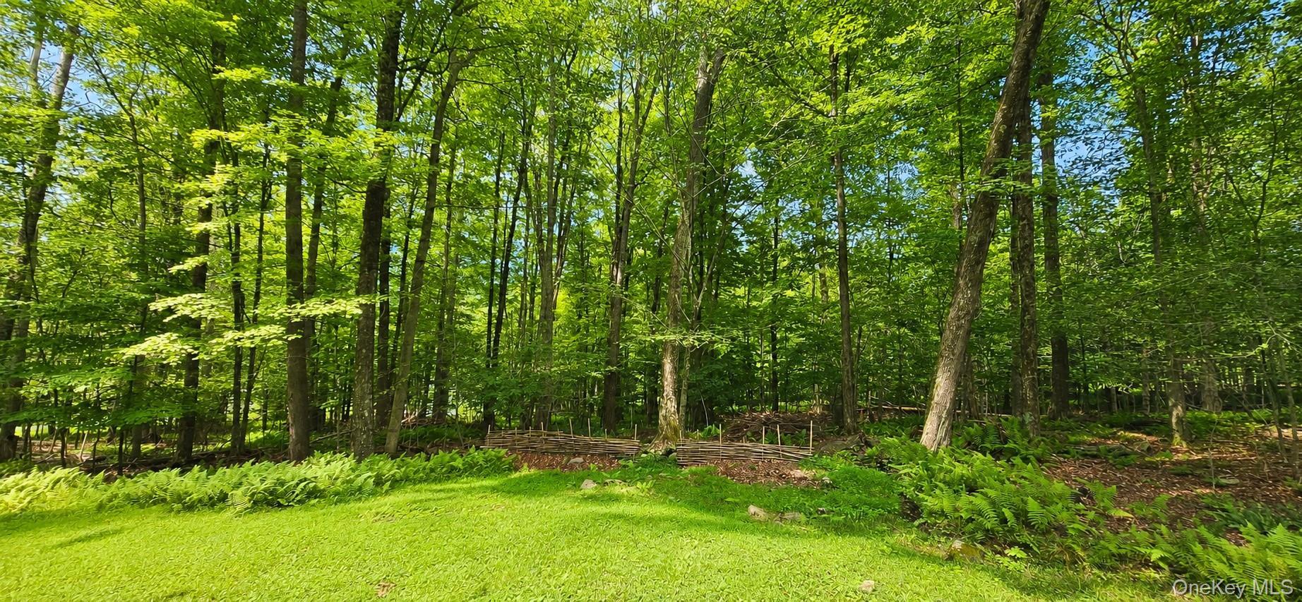Single Family Rennison Road Sullivan County, NY 12740, MLS-1034768-32