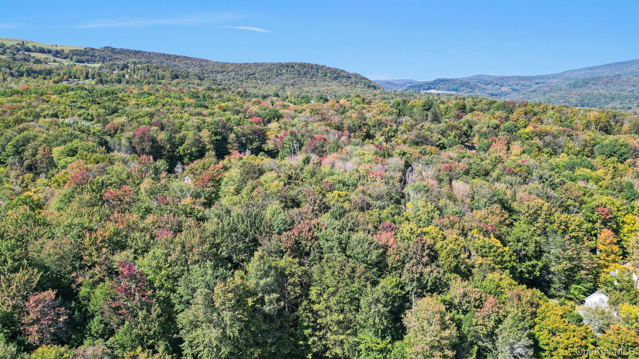 Single Family Rennison Road Sullivan County, NY 12740, MLS-1034768-41