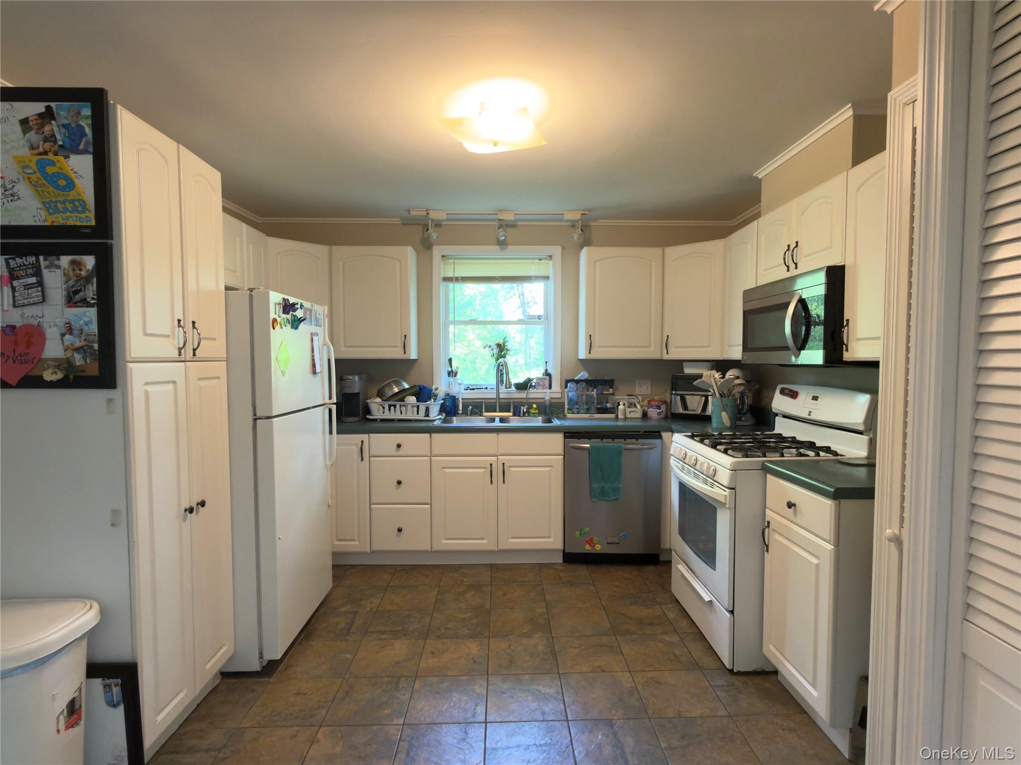 Single Family Forest Drive Dutchess County, NY 12538, MLS-1034777-2