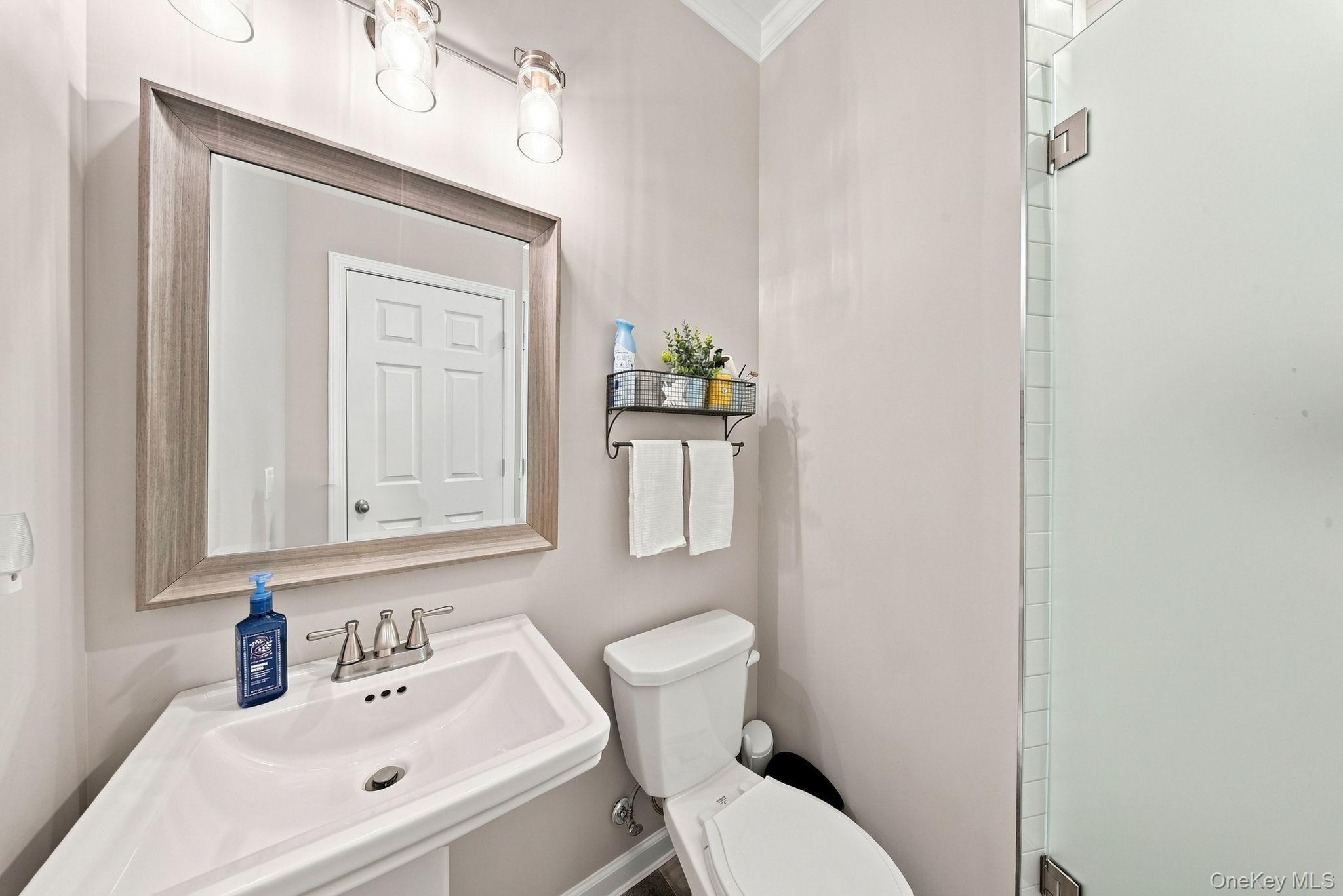 Single Family Robalene Drive Orange County, NY 10924, MLS-1034805-17