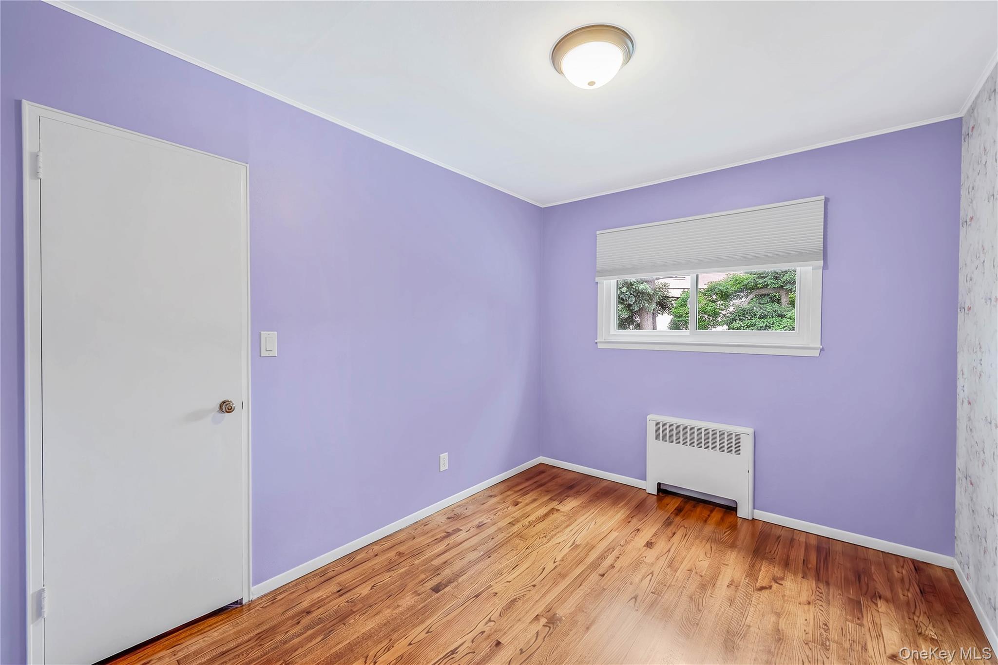Single Family Hynes Place Nassau County, NY 11710, MLS-1034854-19