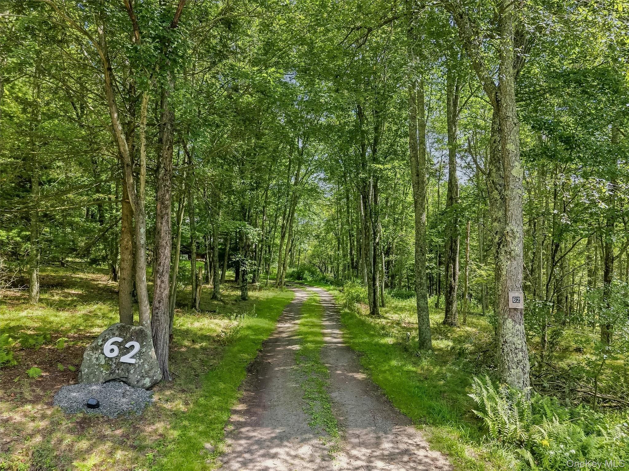 Single Family Laird Road  Sullivan County, NY 12783, MLS-1034909-2