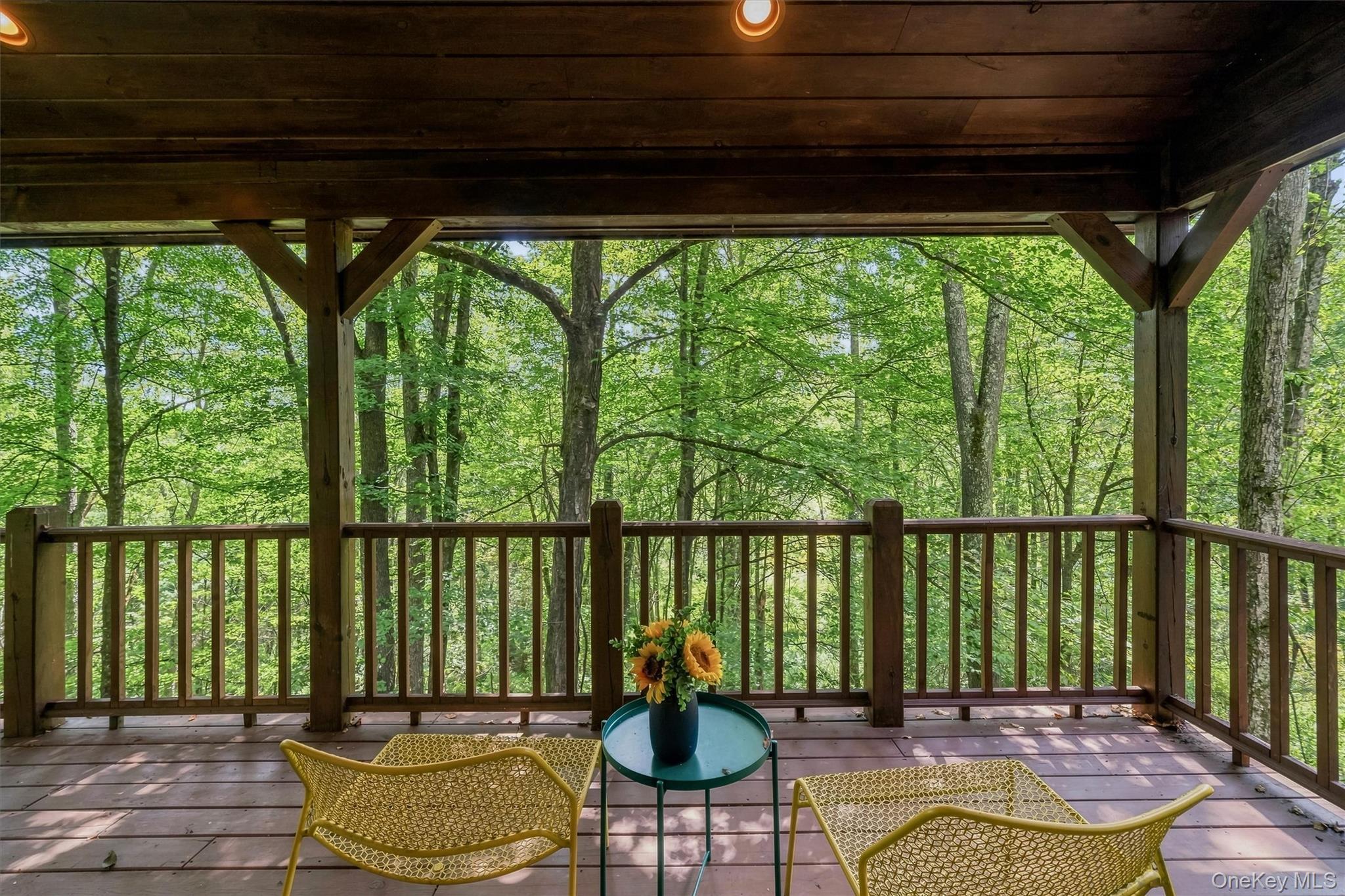 Single Family Laird Road  Sullivan County, NY 12783, MLS-1034909-23