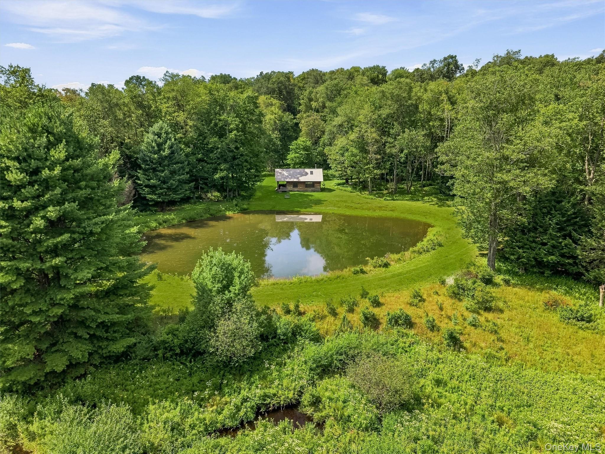 Single Family Laird Road  Sullivan County, NY 12783, MLS-1034909-42