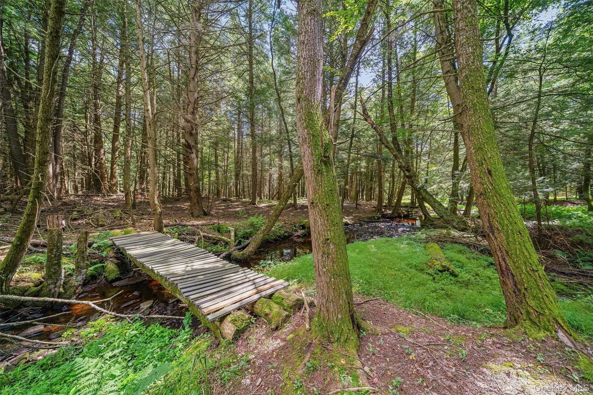Single Family Laird Road  Sullivan County, NY 12783, MLS-1034909-43