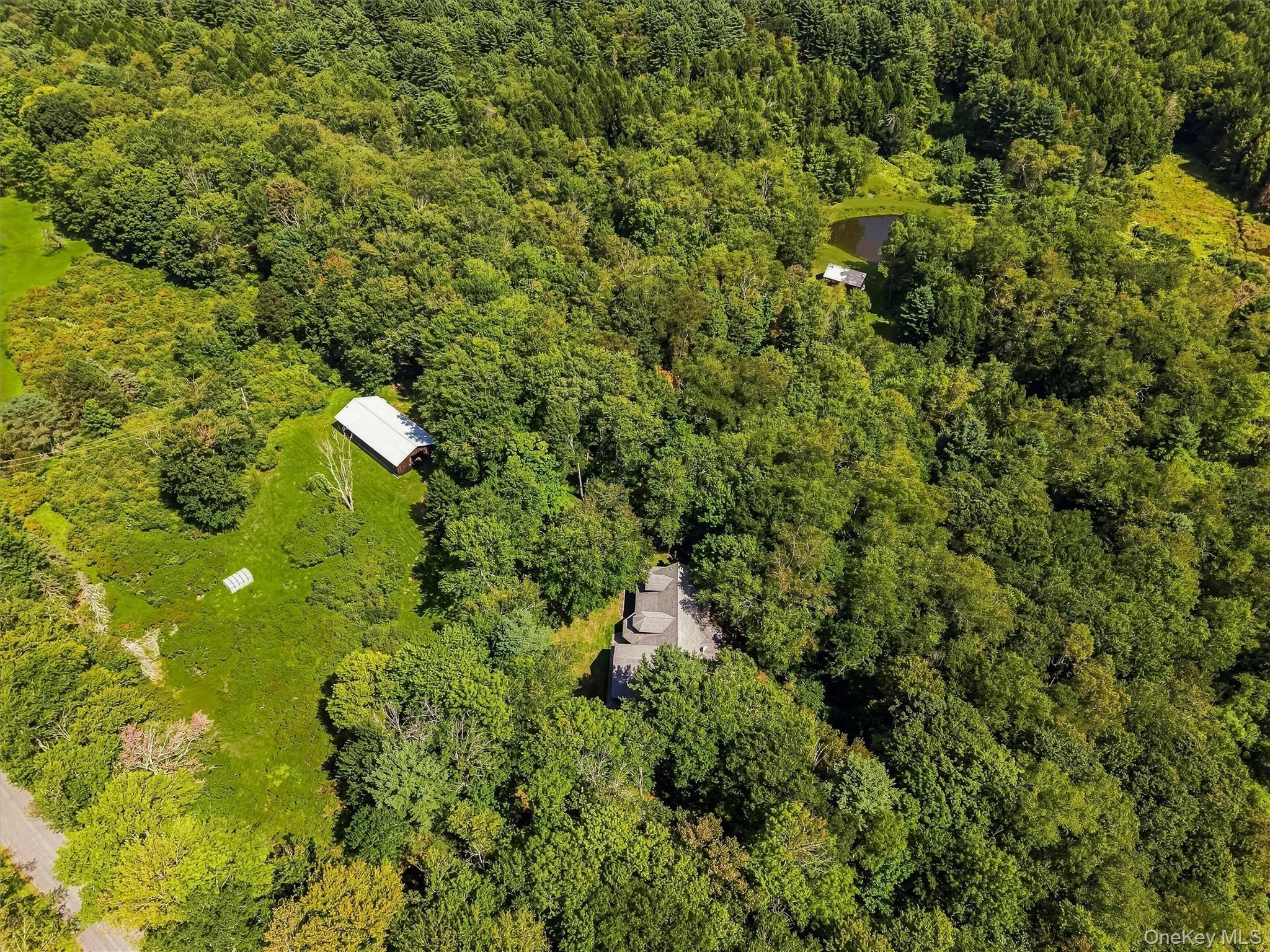 Single Family Laird Road  Sullivan County, NY 12783, MLS-1034909-46