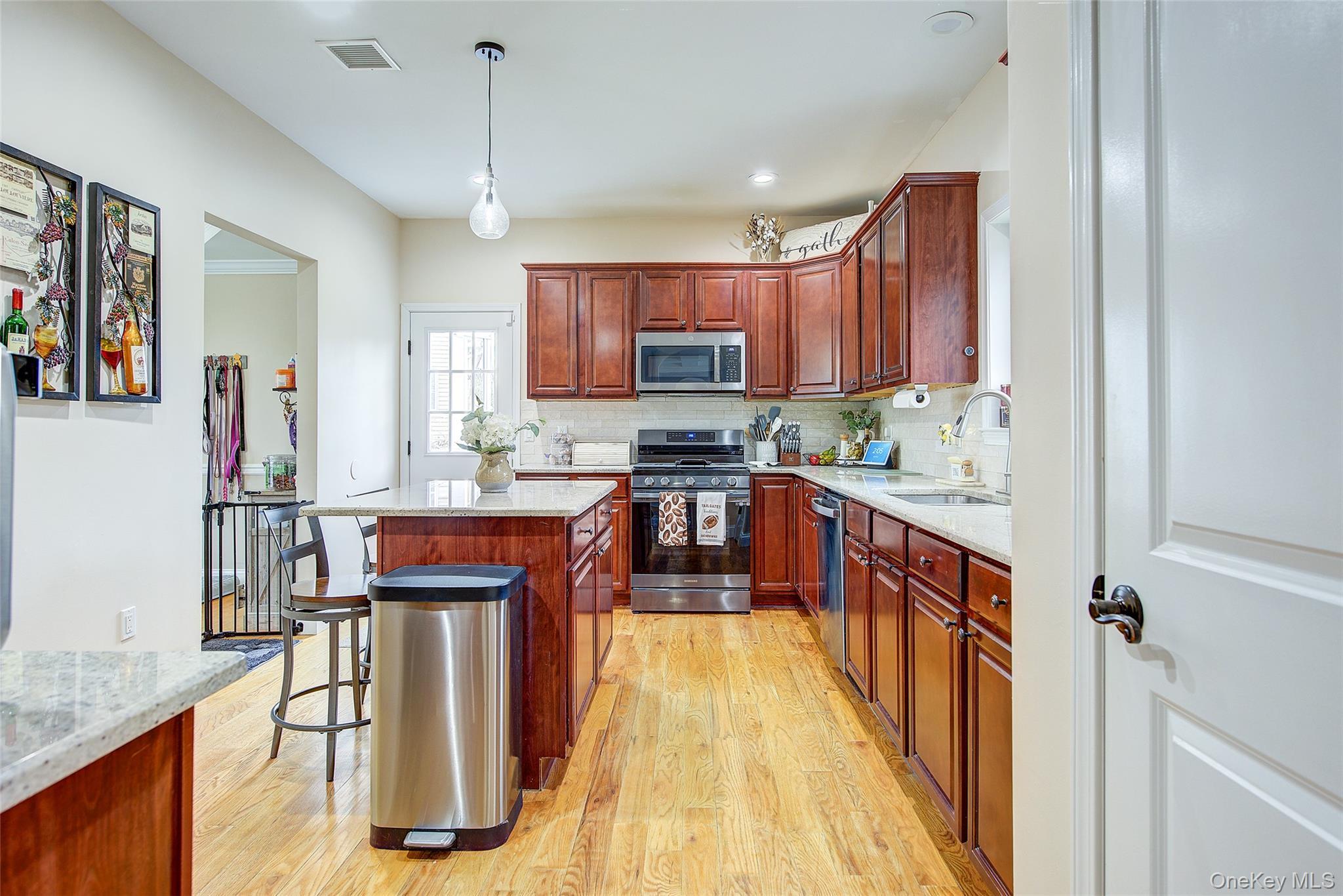 Single Family Tanyas Court Orange County, NY 10950, MLS-1034922-9