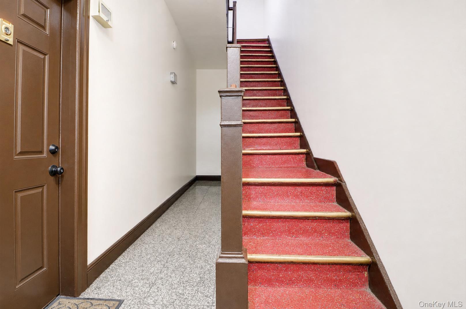 Single Family Halsey Street Brooklyn, NY 11233, MLS-1034946-5