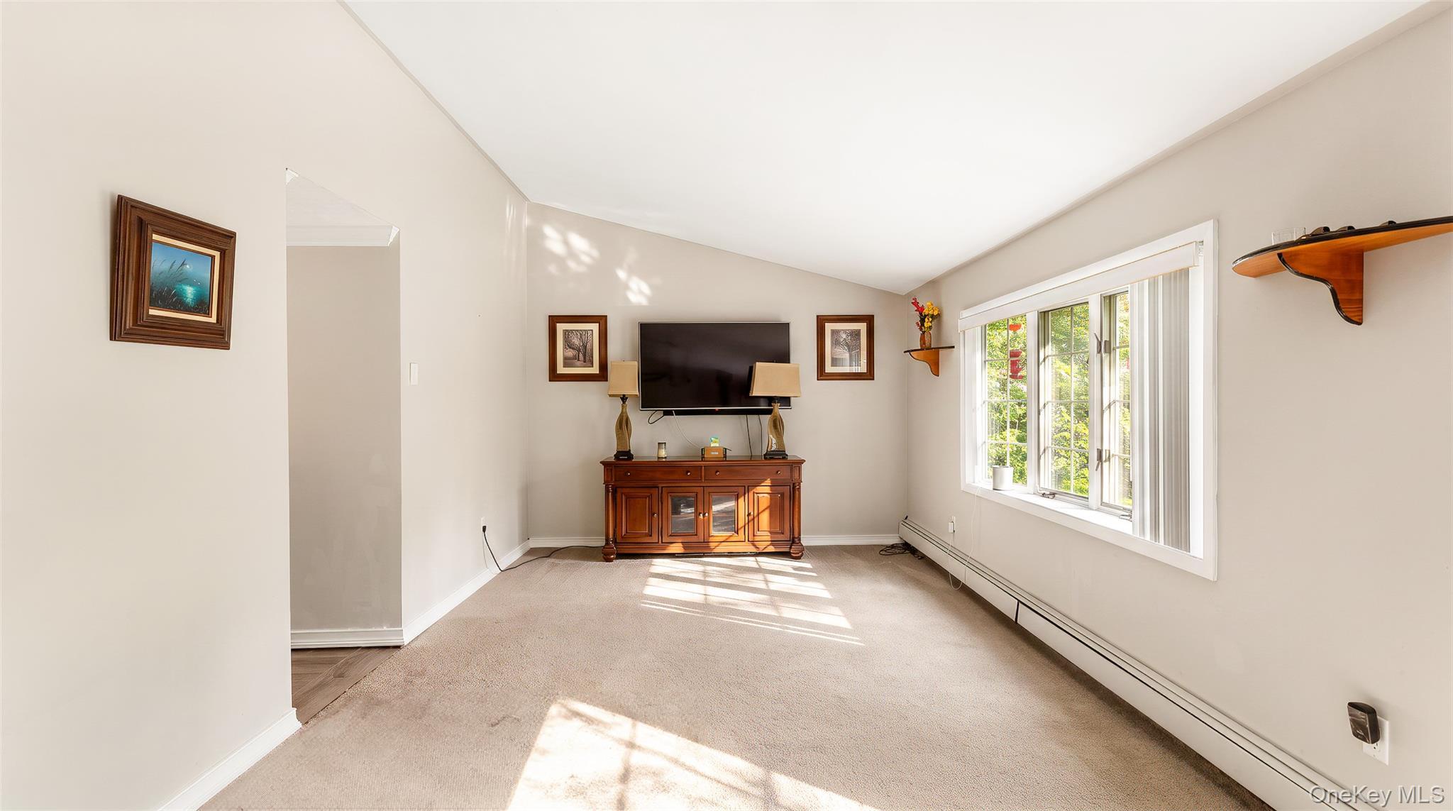 Single Family Pinetop Drive  Suffolk County, NY 11967, MLS-1034963-4