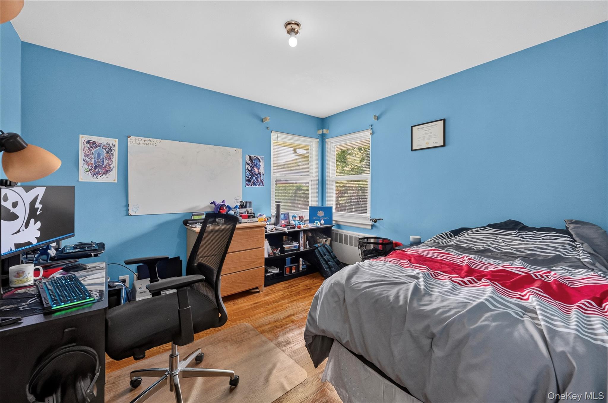 Single Family Marcus Avenue  Nassau County, NY 11040, MLS-1034978-18