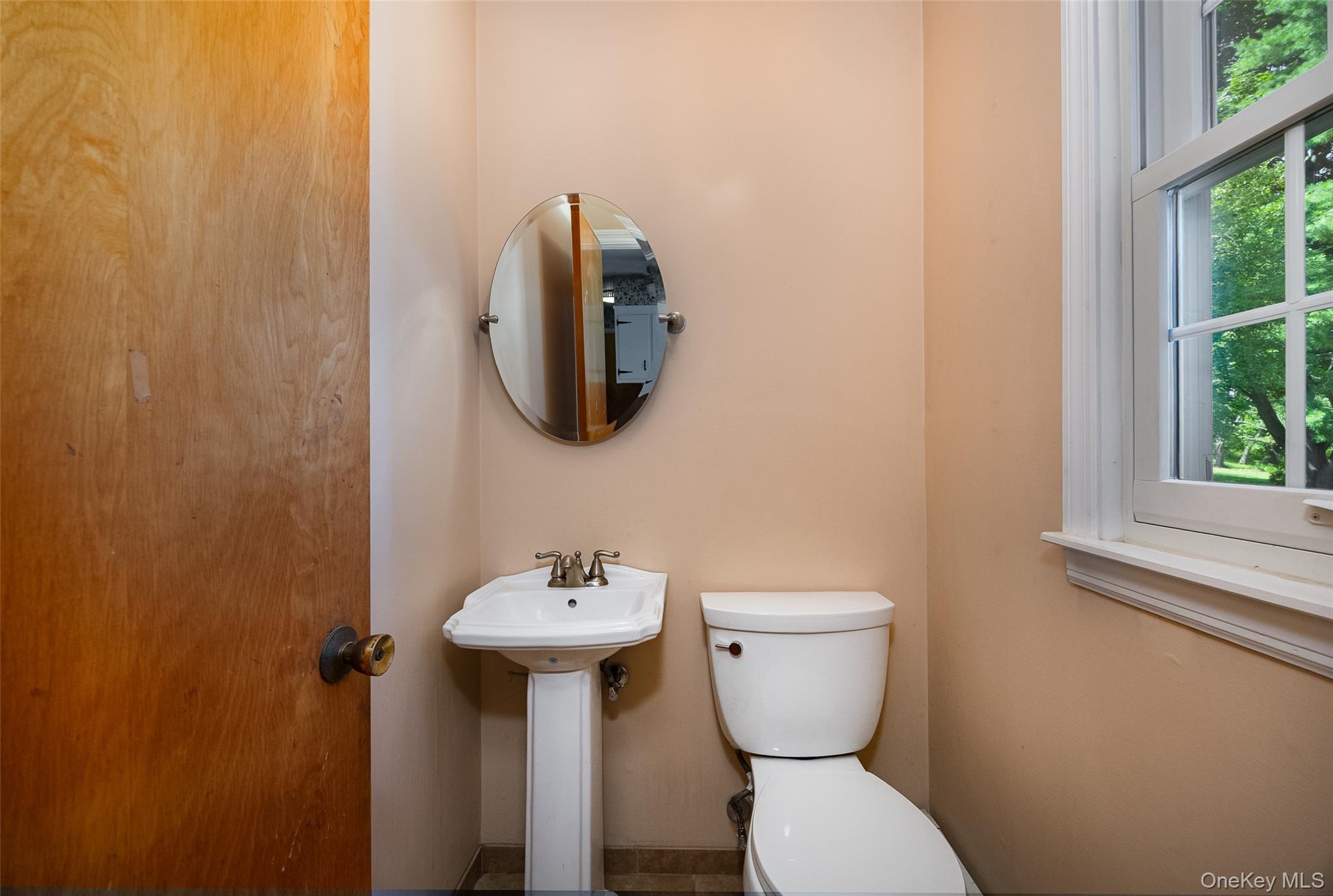 Single Family Hornbeck Road Dutchess County, NY 12603, MLS-1034985-12
