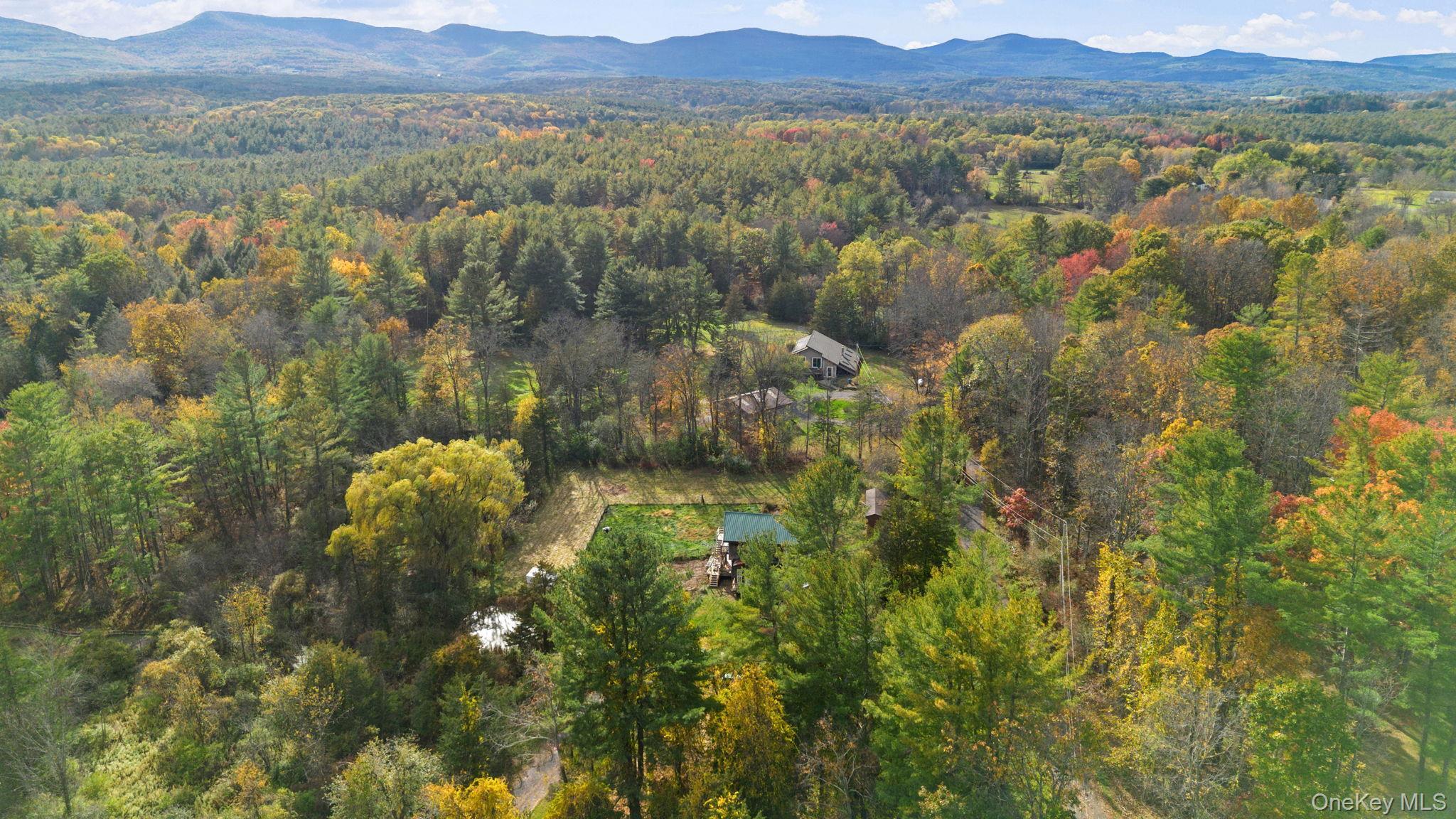 Single Family Route 67 Greene County, NY 12423, MLS-1034991-33
