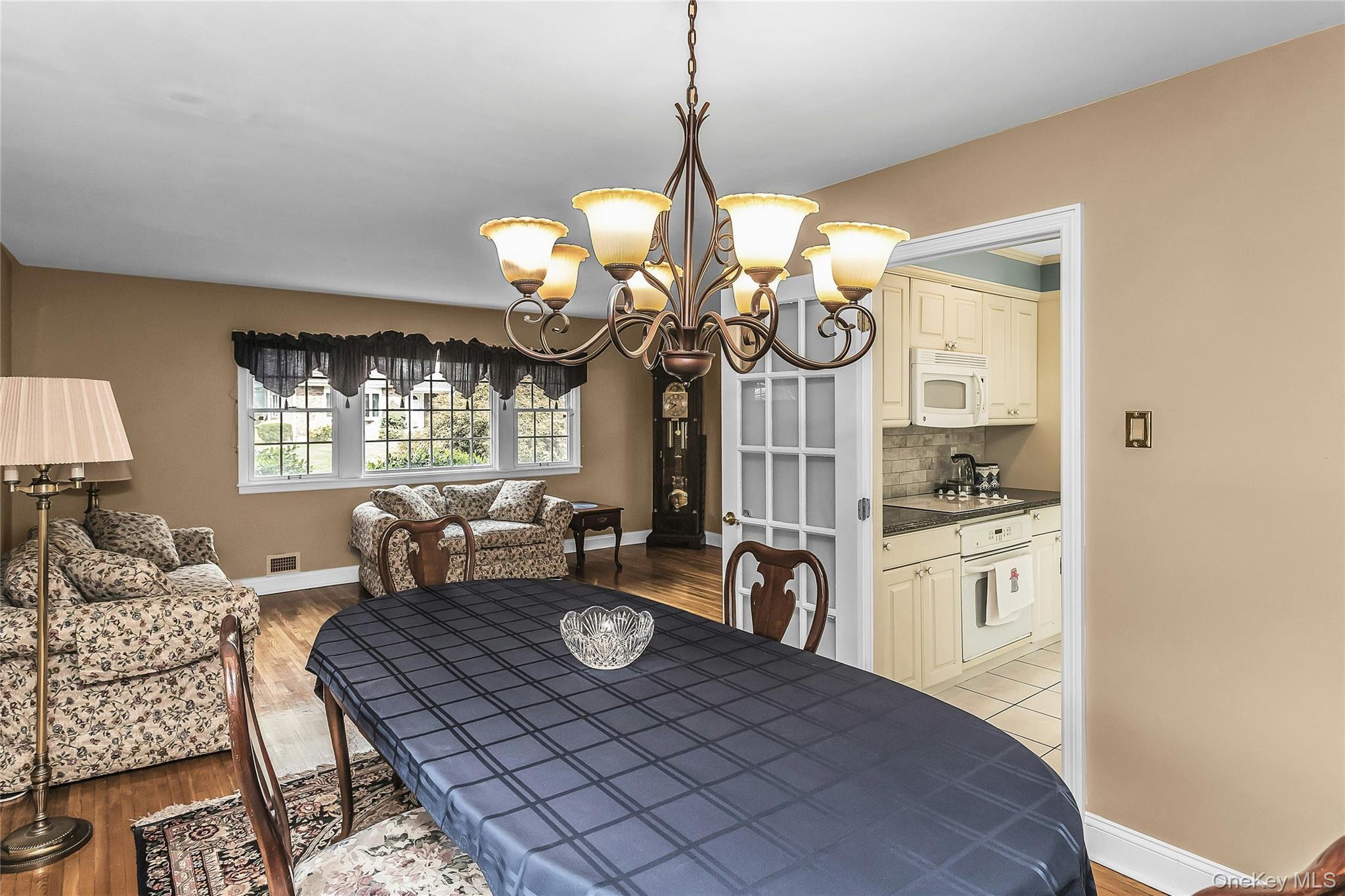 Single Family Lenmore Drive Nassau County, NY 11804, MLS-1035009-10