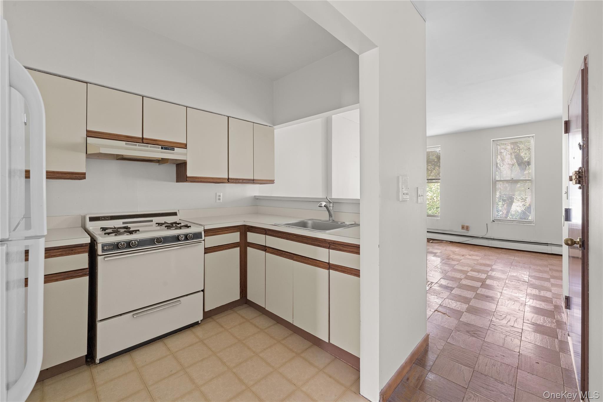 Single Family Park Place Brooklyn, NY 11238, MLS-1035045-11