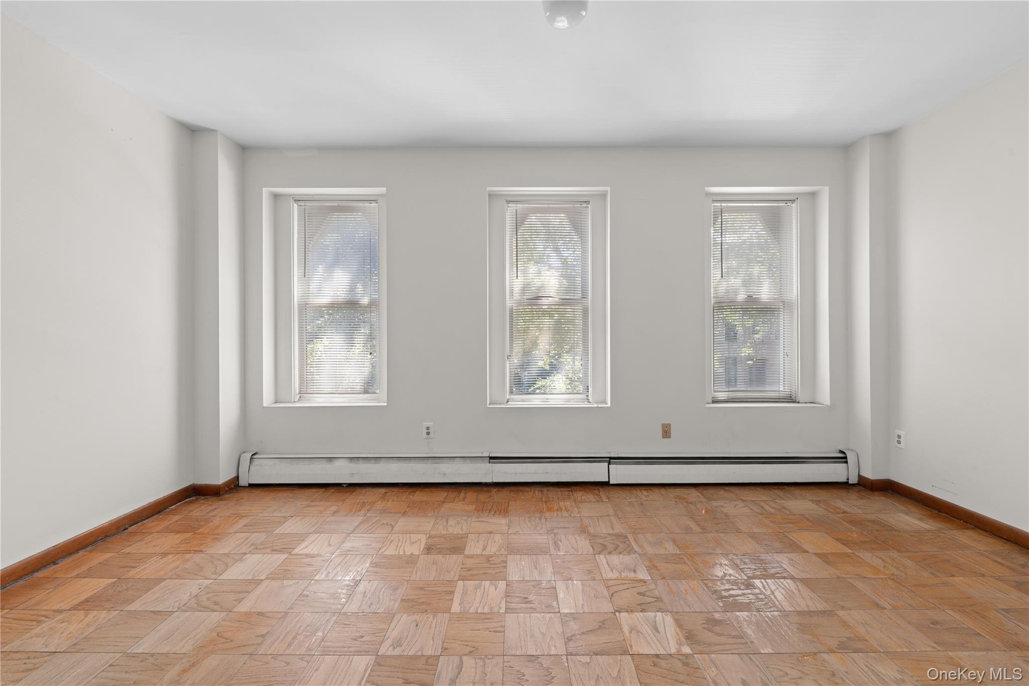 Single Family Park Place Brooklyn, NY 11238, MLS-1035045-19