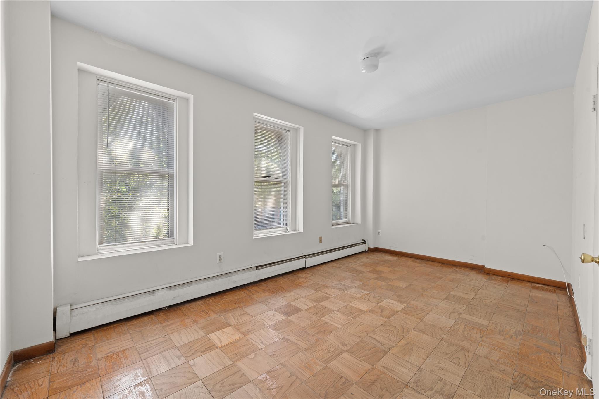 Single Family Park Place Brooklyn, NY 11238, MLS-1035045-20