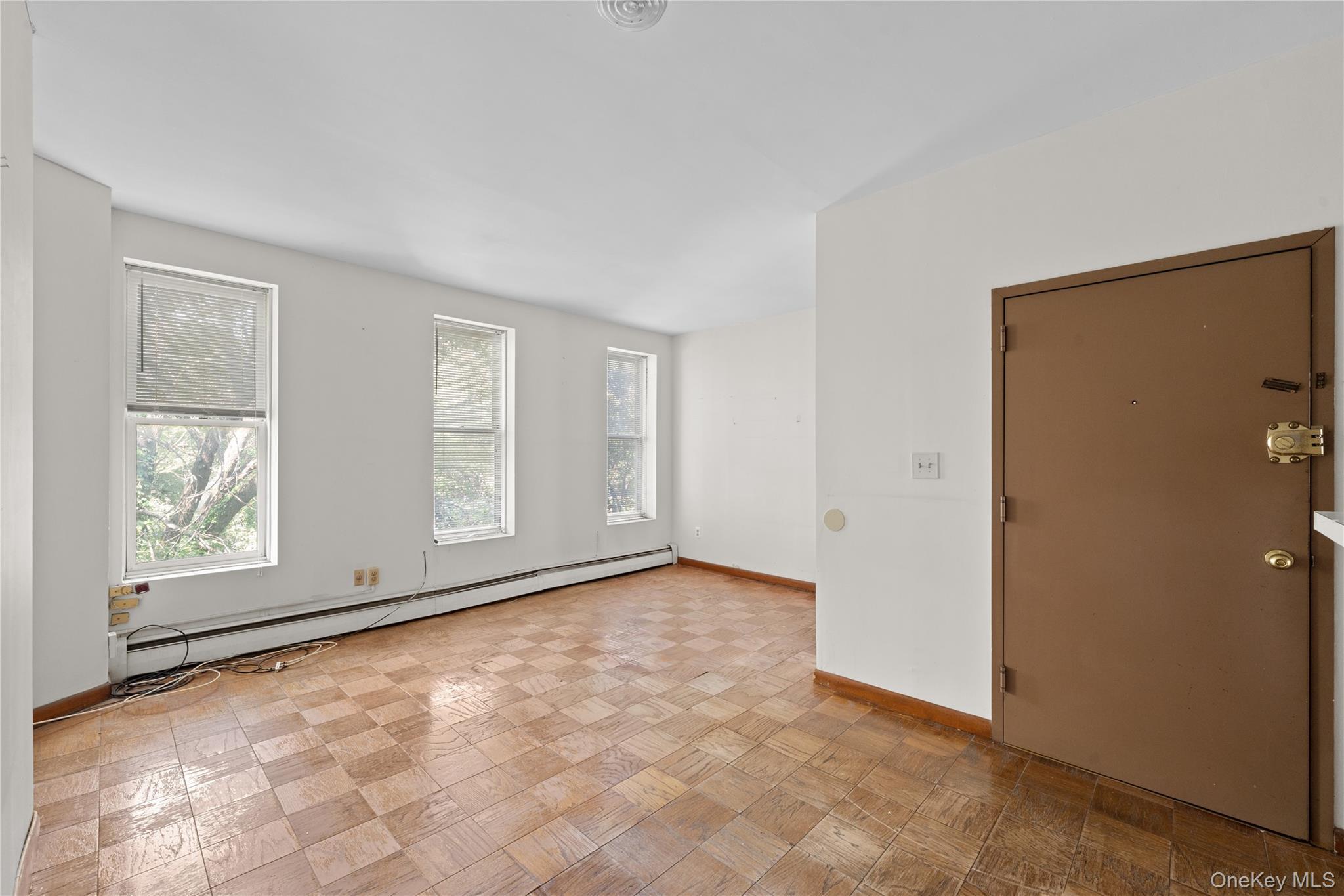 Single Family Park Place Brooklyn, NY 11238, MLS-1035045-22