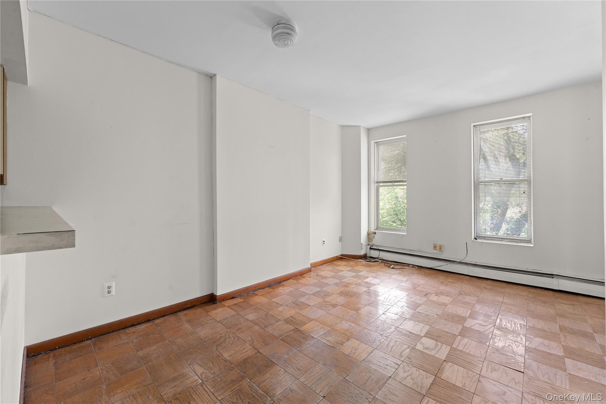 Single Family Park Place Brooklyn, NY 11238, MLS-1035045-23