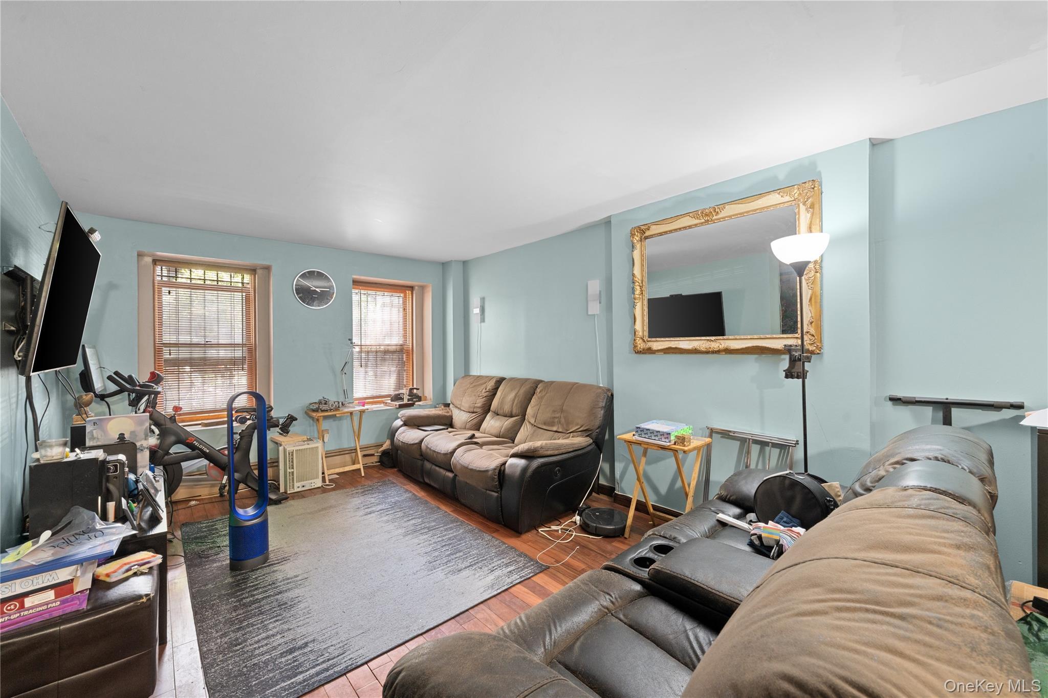 Single Family Park Place Brooklyn, NY 11238, MLS-1035045-8