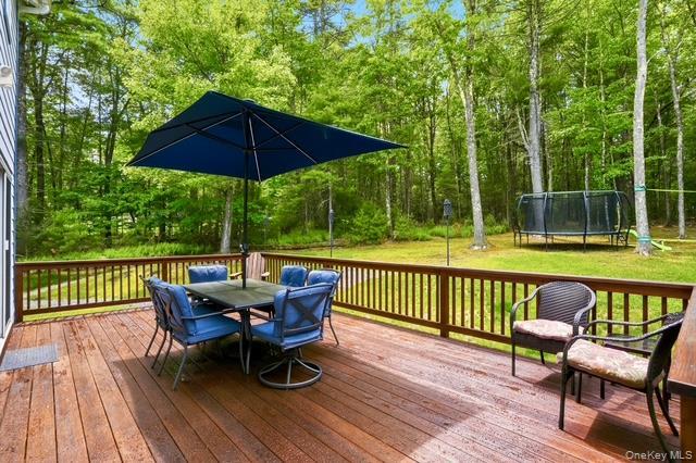 Single Family Geba Drive Sullivan County, NY 12737, MLS-1035069-31