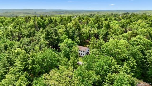 Single Family Geba Drive Sullivan County, NY 12737, MLS-1035069-4