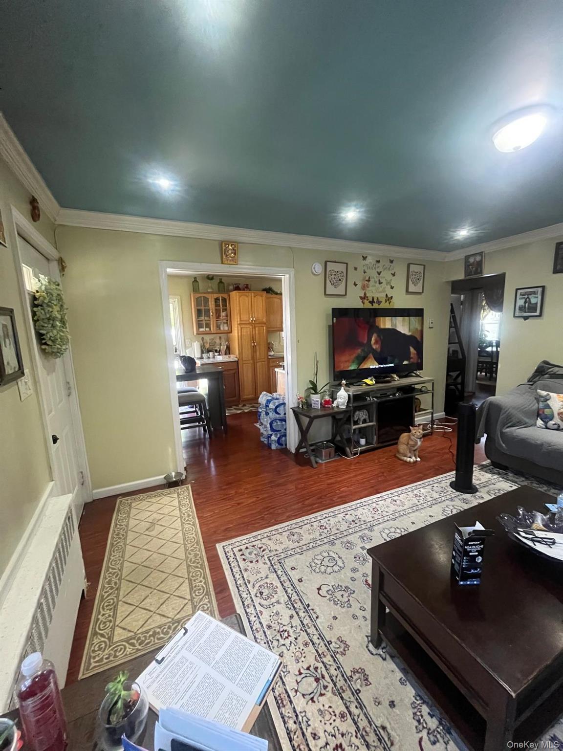 Single Family 129th Avenue Queens, NY 11434, MLS-1035085-3