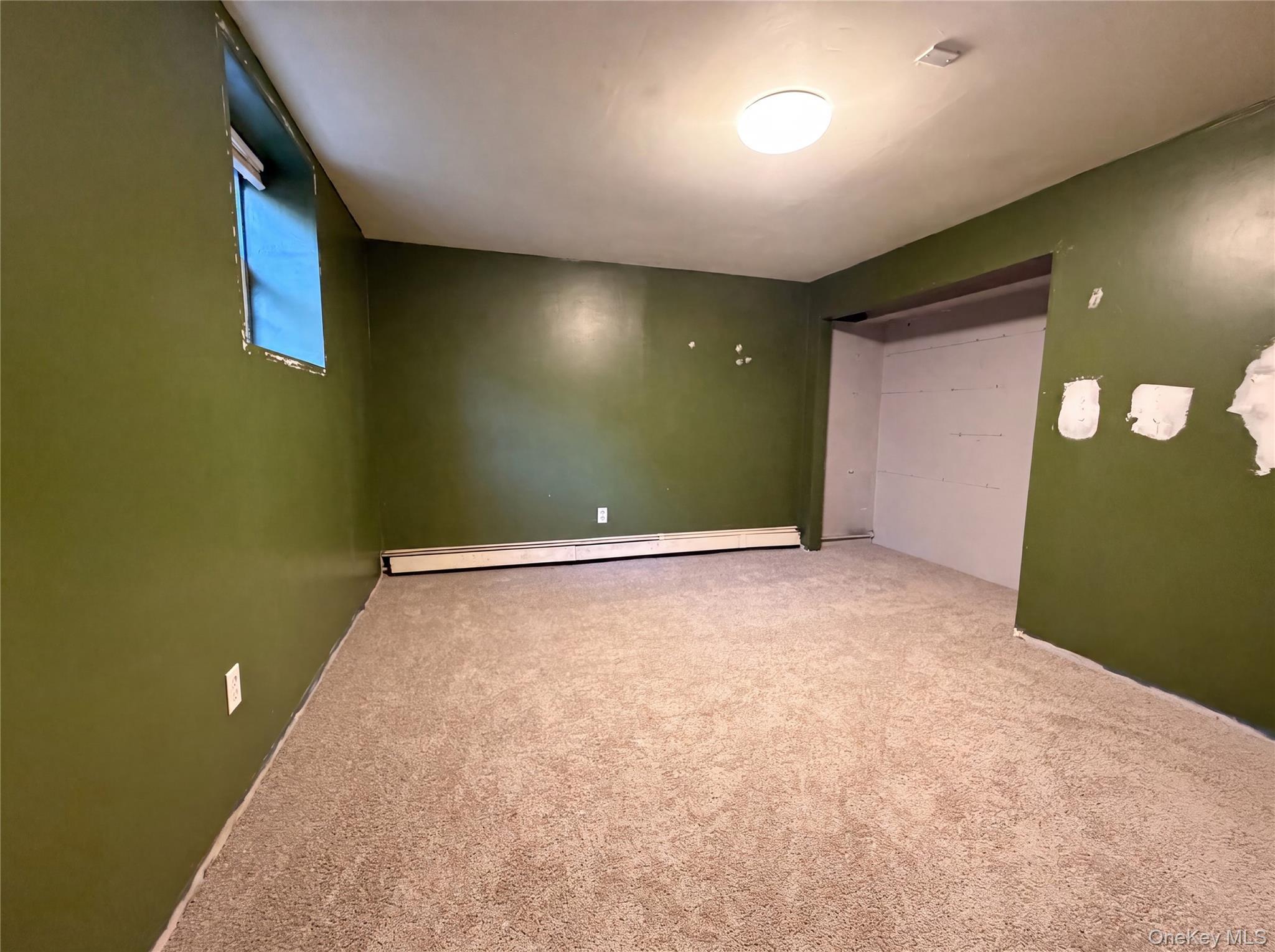 Single Family Moriches Avenue Suffolk County, NY 11950, MLS-1035096-12