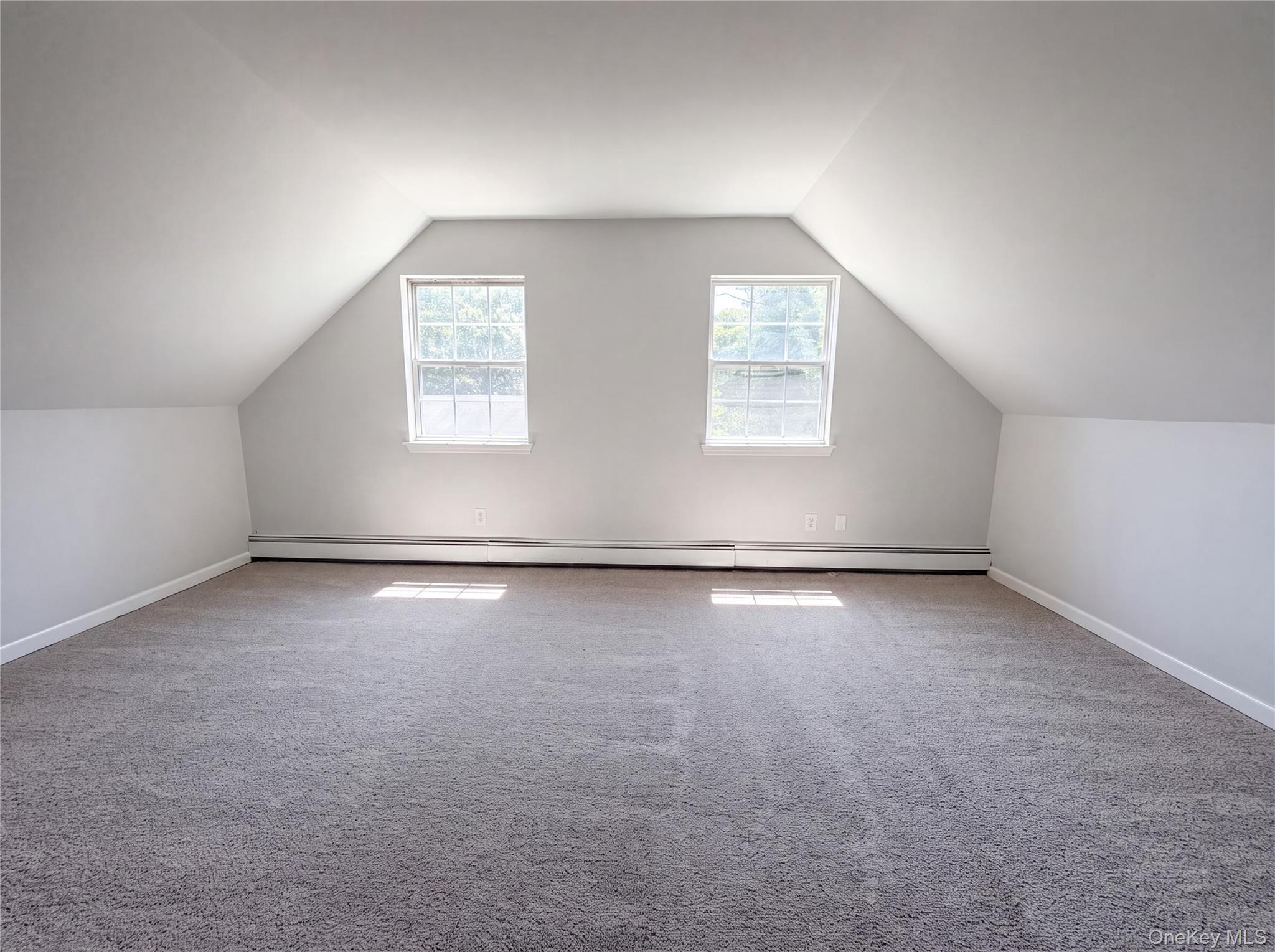 Single Family Moriches Avenue Suffolk County, NY 11950, MLS-1035096-27