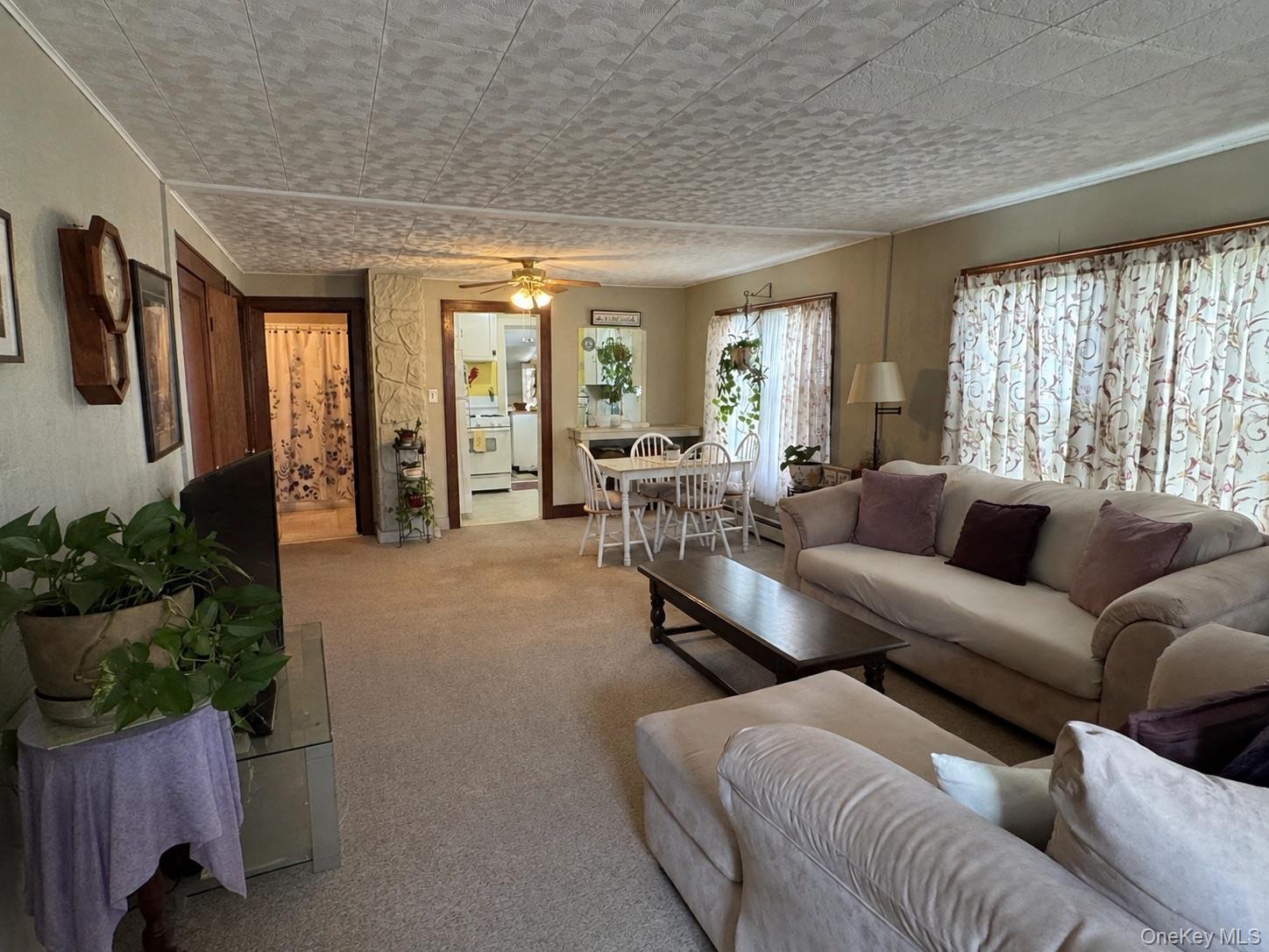 Single Family Esopus Avenue Ulster County, NY 12401, MLS-1035122-6