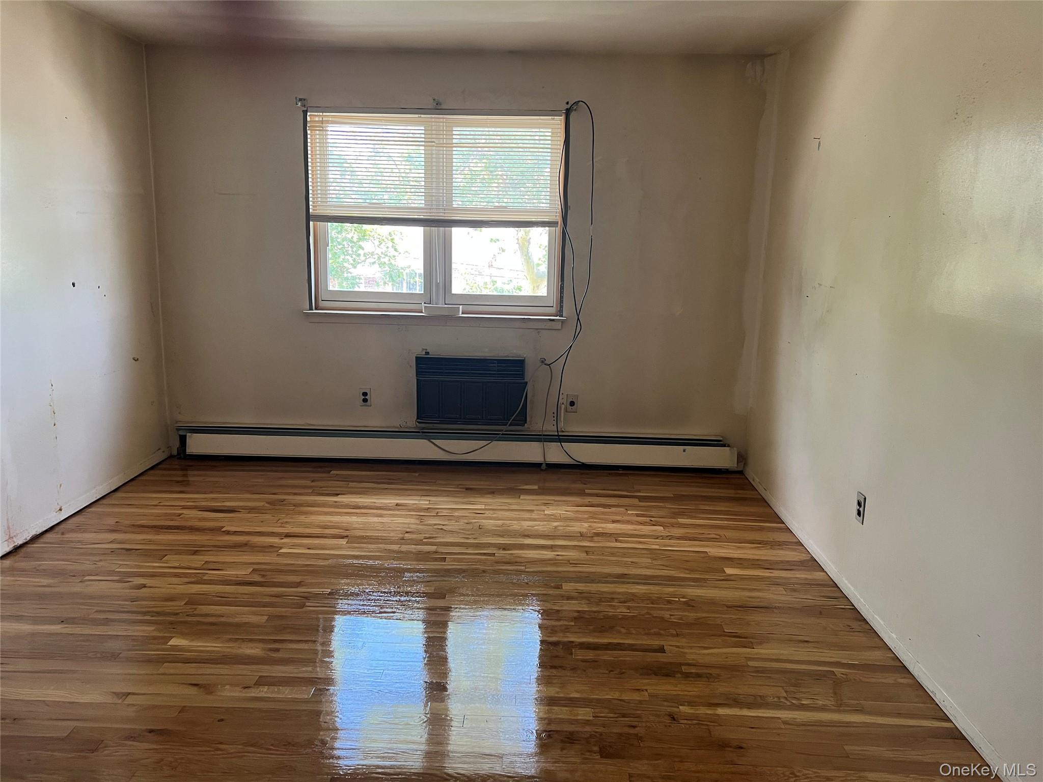 Single Family 140th Avenue Queens, NY 11413, MLS-1035161-8