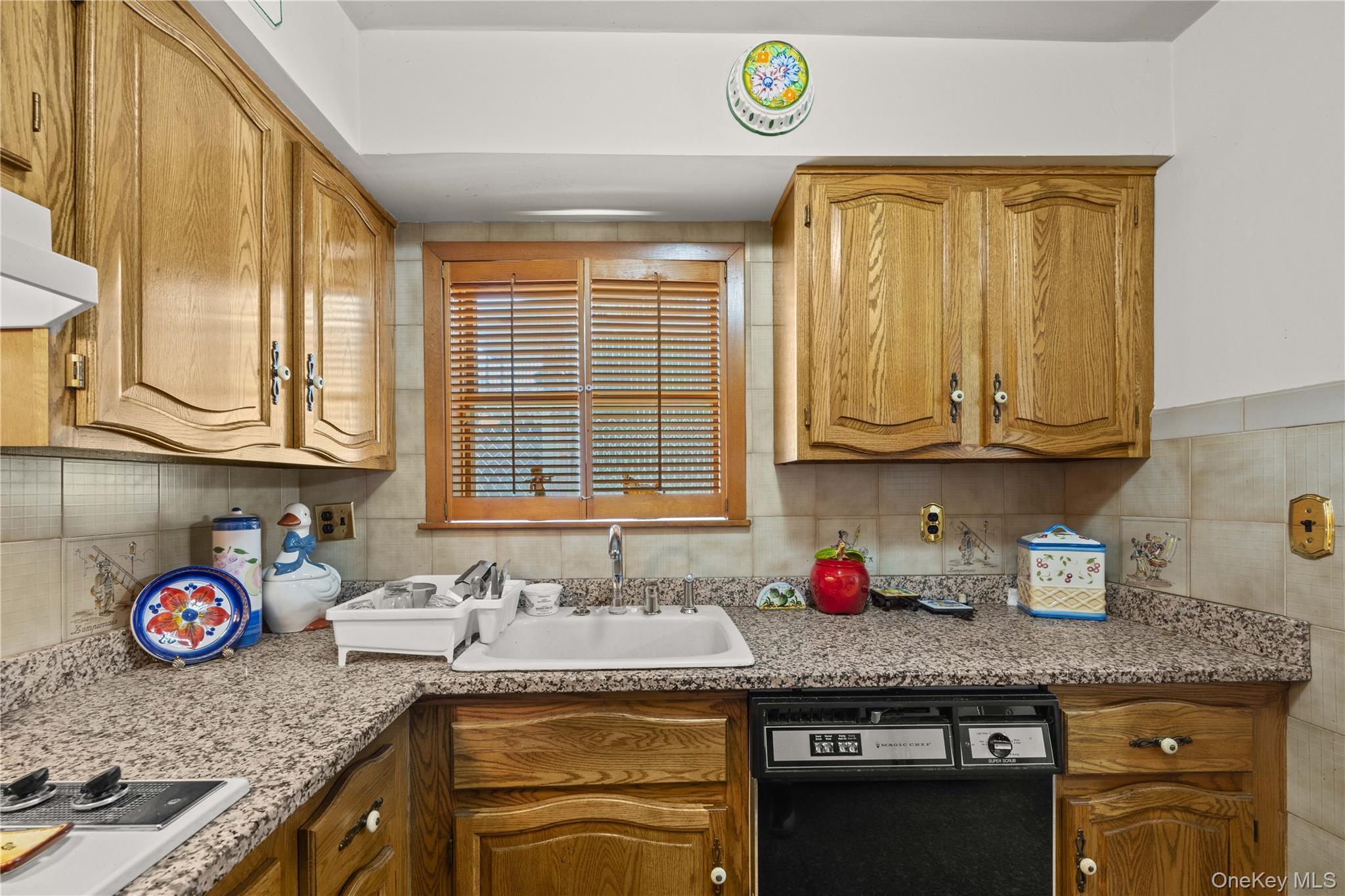 Single Family Vincent Avenue Bronx, NY 10465, MLS-1035169-14