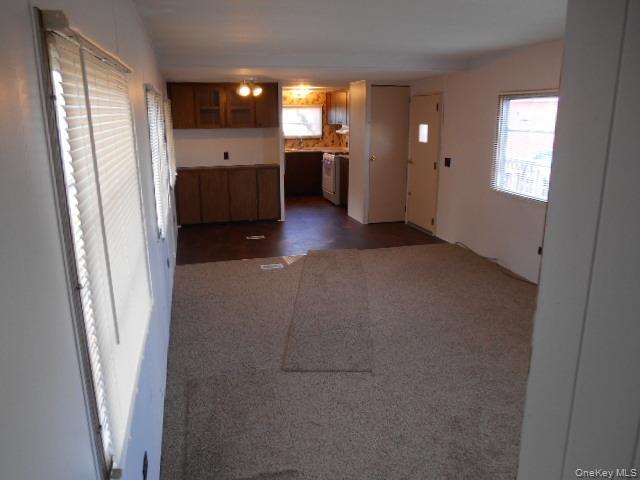 Single Family Schryver Street Ulster County, NY 12429, MLS-1035213-10