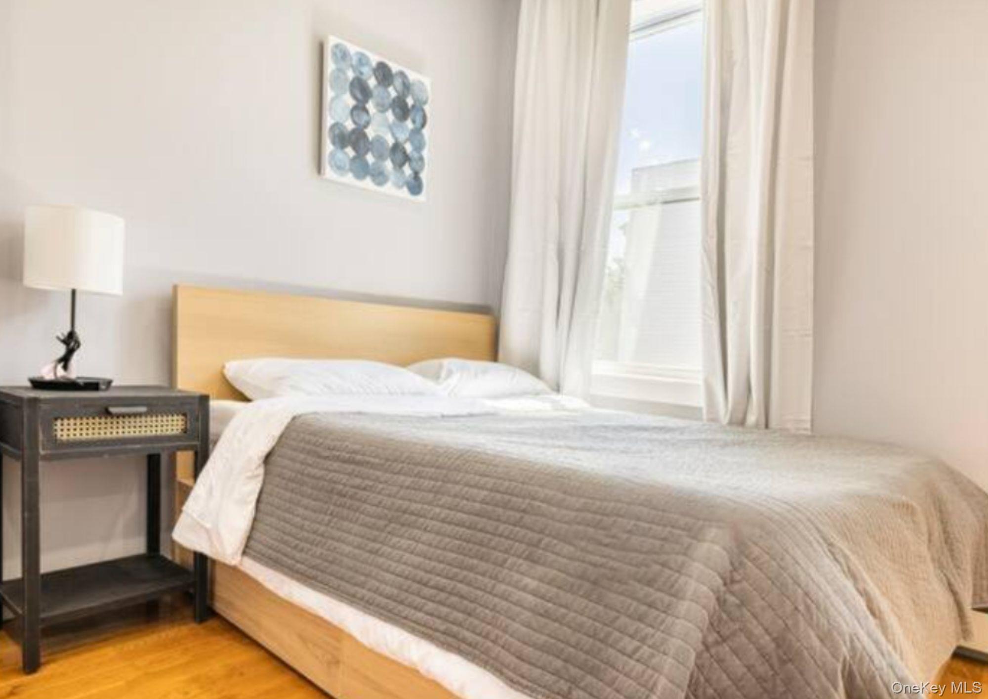 Single Family Utica Brooklyn, NY 11213, MLS-1035226-10