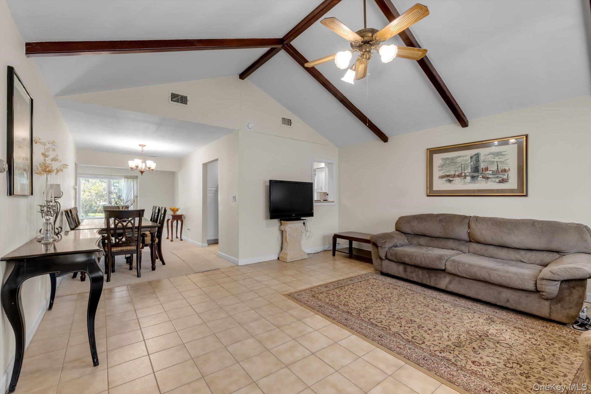 Single Family Franklin Boulevard Nassau County, NY 11561, MLS-1035268-12