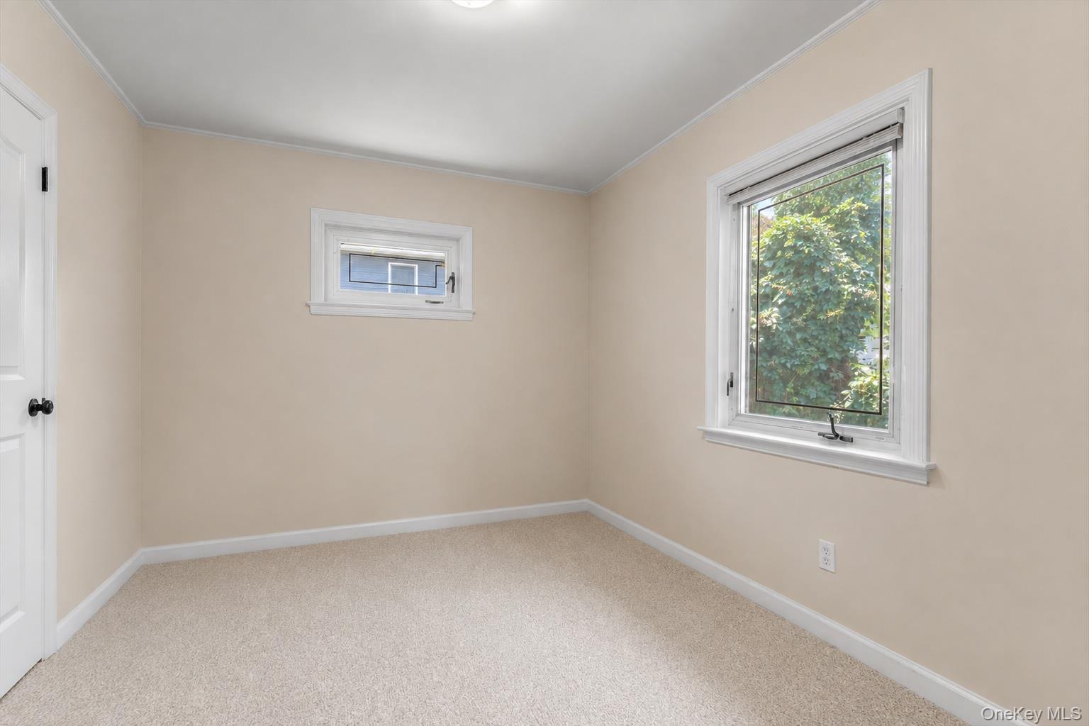 Single Family Franklin Boulevard Nassau County, NY 11561, MLS-1035268-20