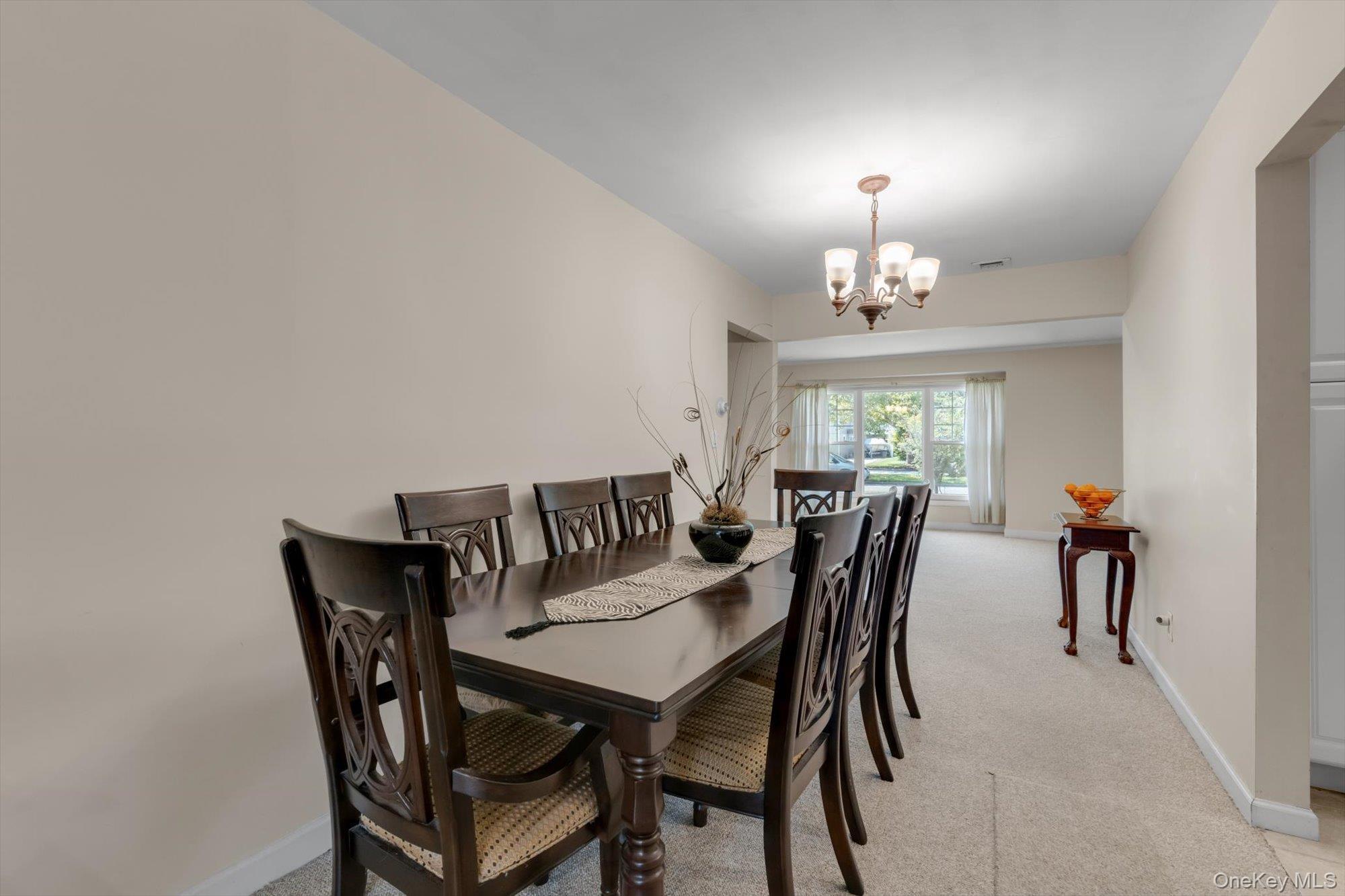 Single Family Franklin Boulevard Nassau County, NY 11561, MLS-1035268-8