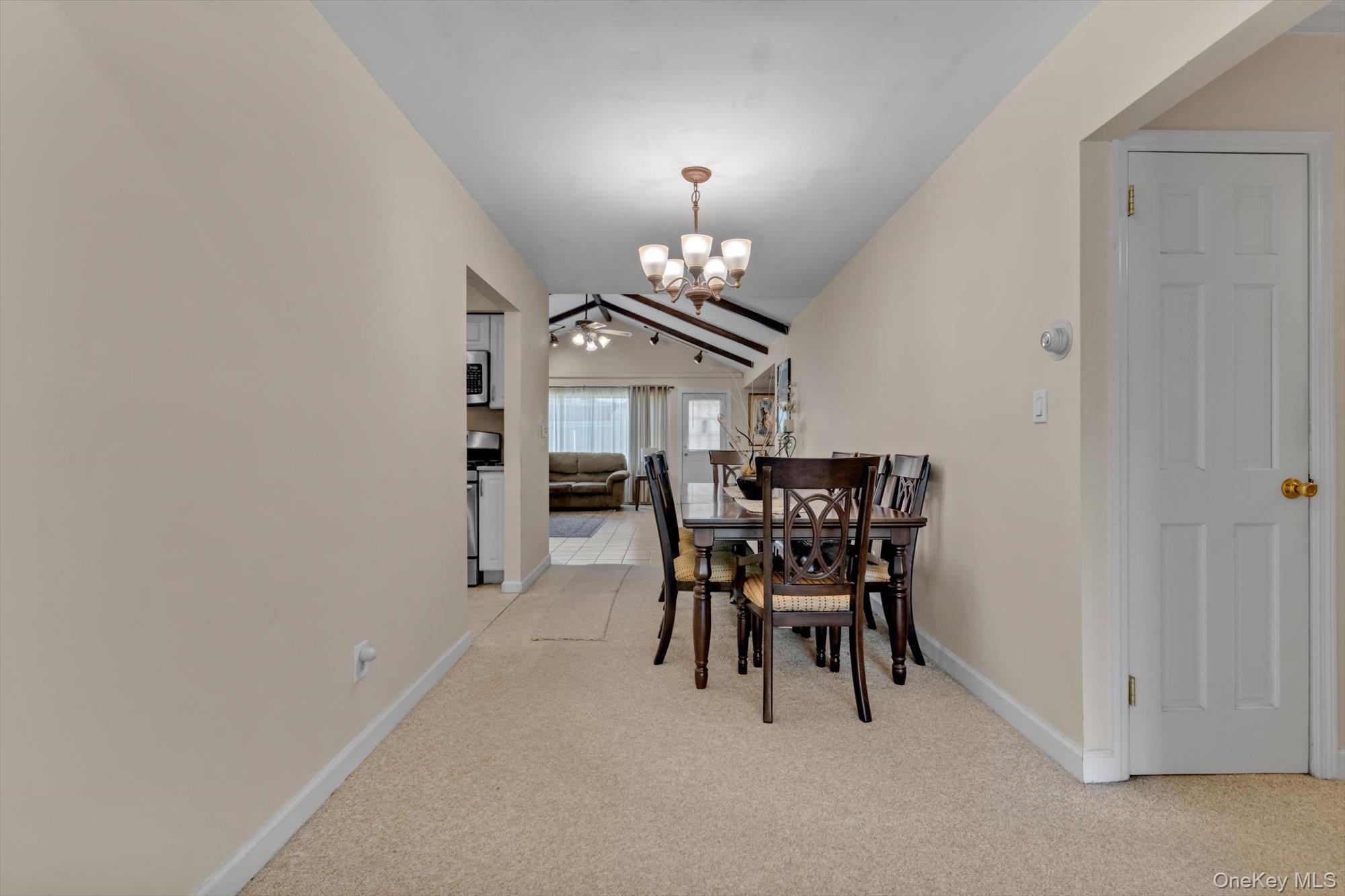 Single Family Franklin Boulevard Nassau County, NY 11561, MLS-1035268-9