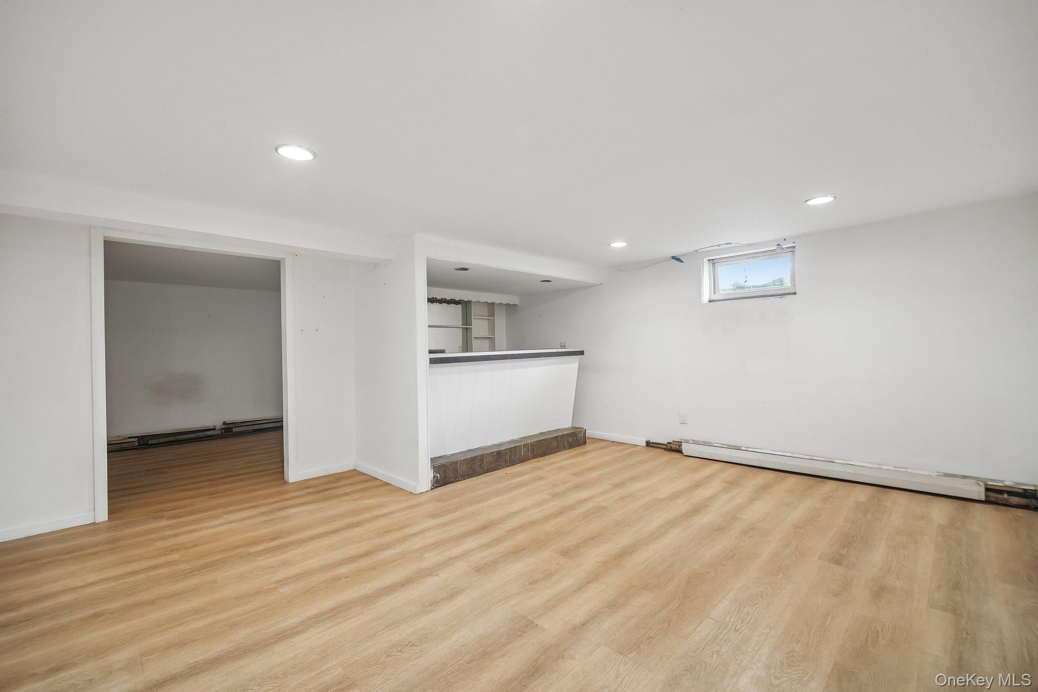Single Family Frederick Avenue Nassau County, NY 11001, MLS-1035310-24