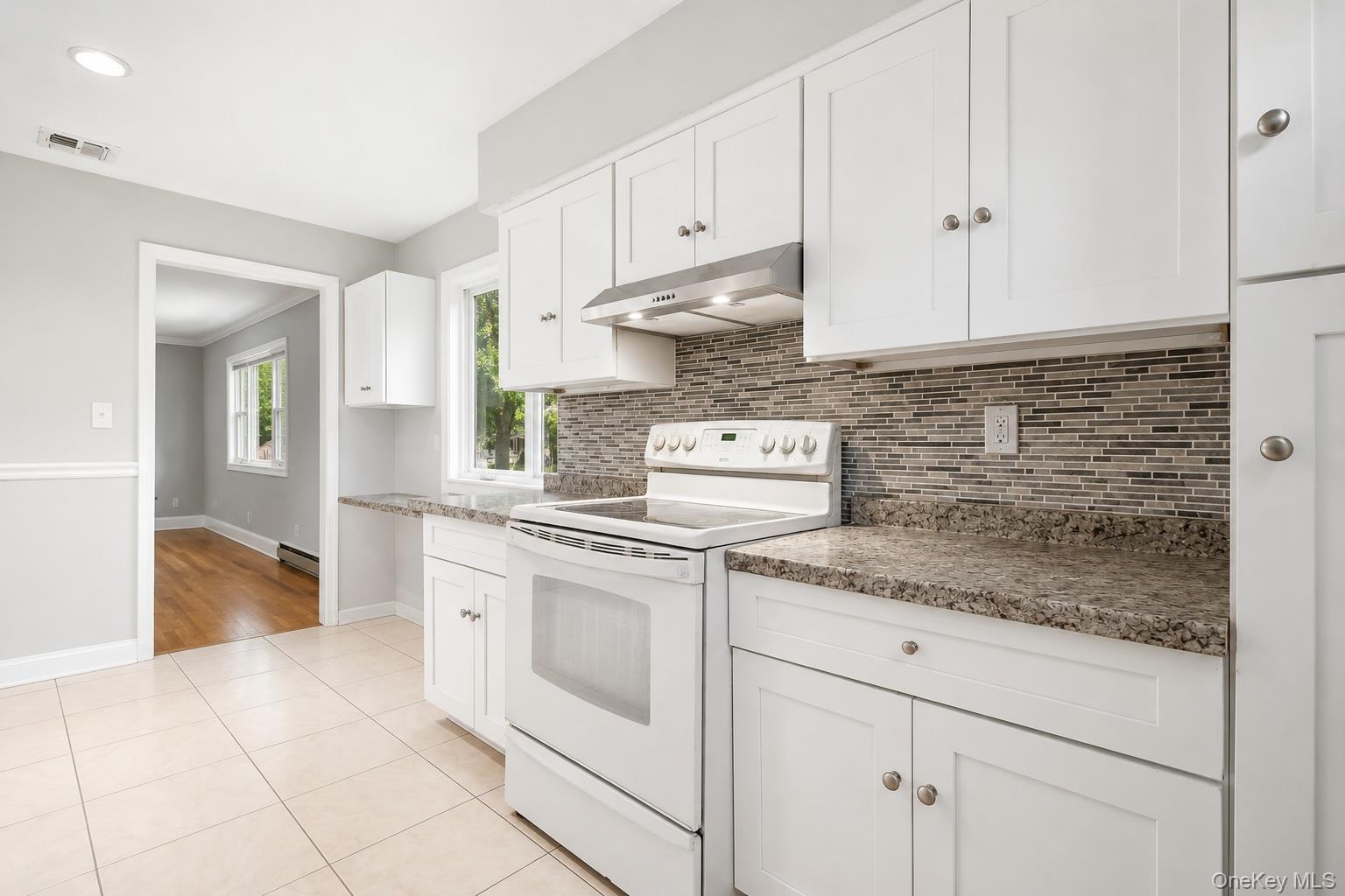 Single Family Frederick Avenue Nassau County, NY 11001, MLS-1035310-3