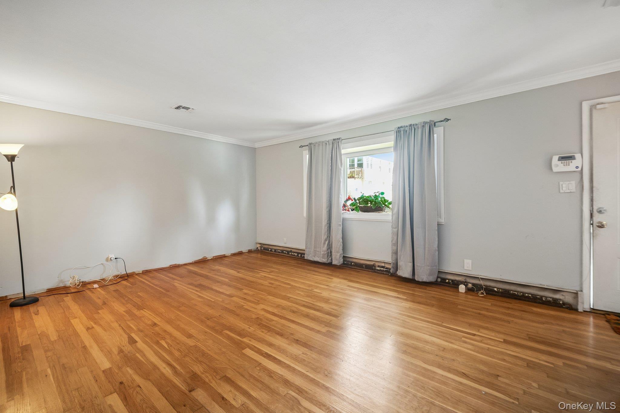 Single Family Frederick Avenue Nassau County, NY 11001, MLS-1035310-7
